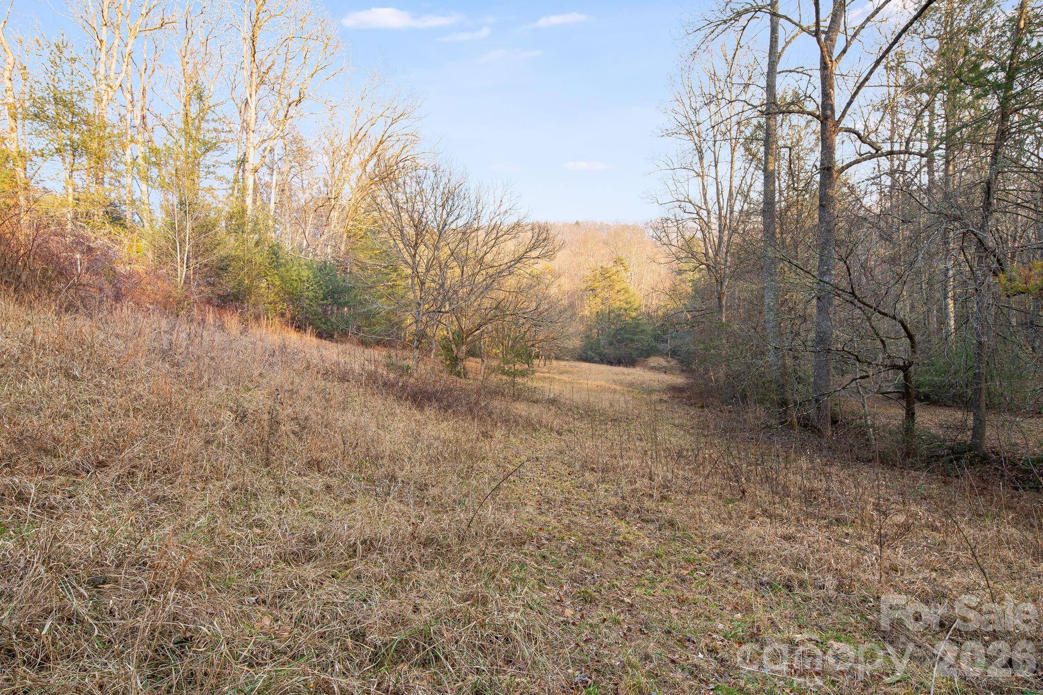 0000 Red Eft WAY, Horse Shoe, NC 28742