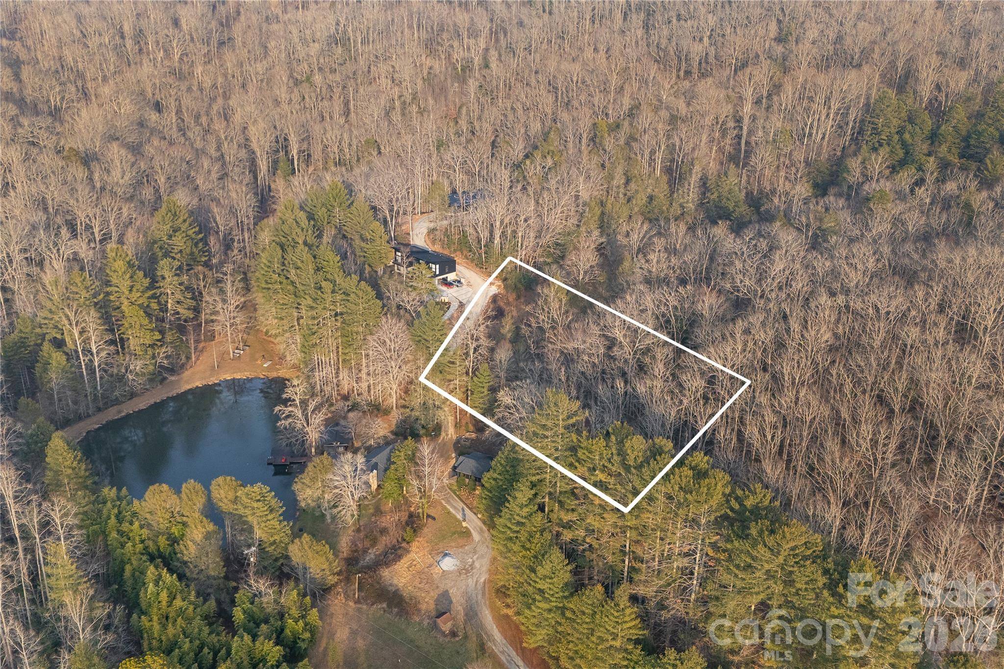 0000 Red Eft WAY, Horse Shoe, NC 28742