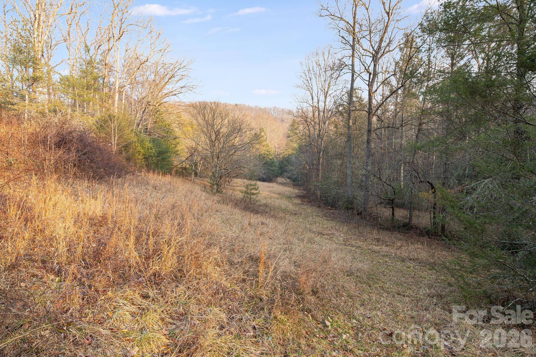 0000 Red Eft WAY, Horse Shoe, NC 28742