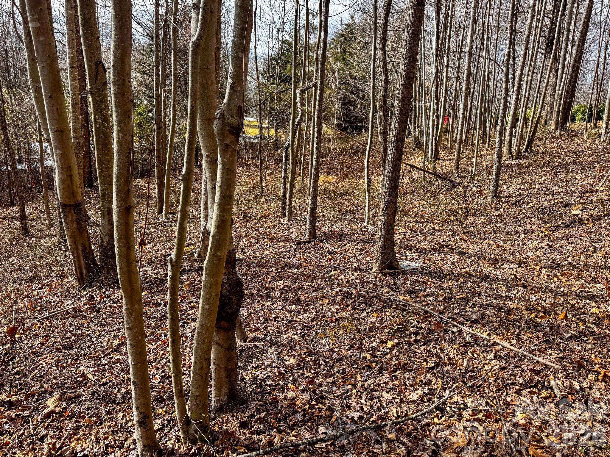 770 Somersby Pkwy, Hendersonville, NC 28739