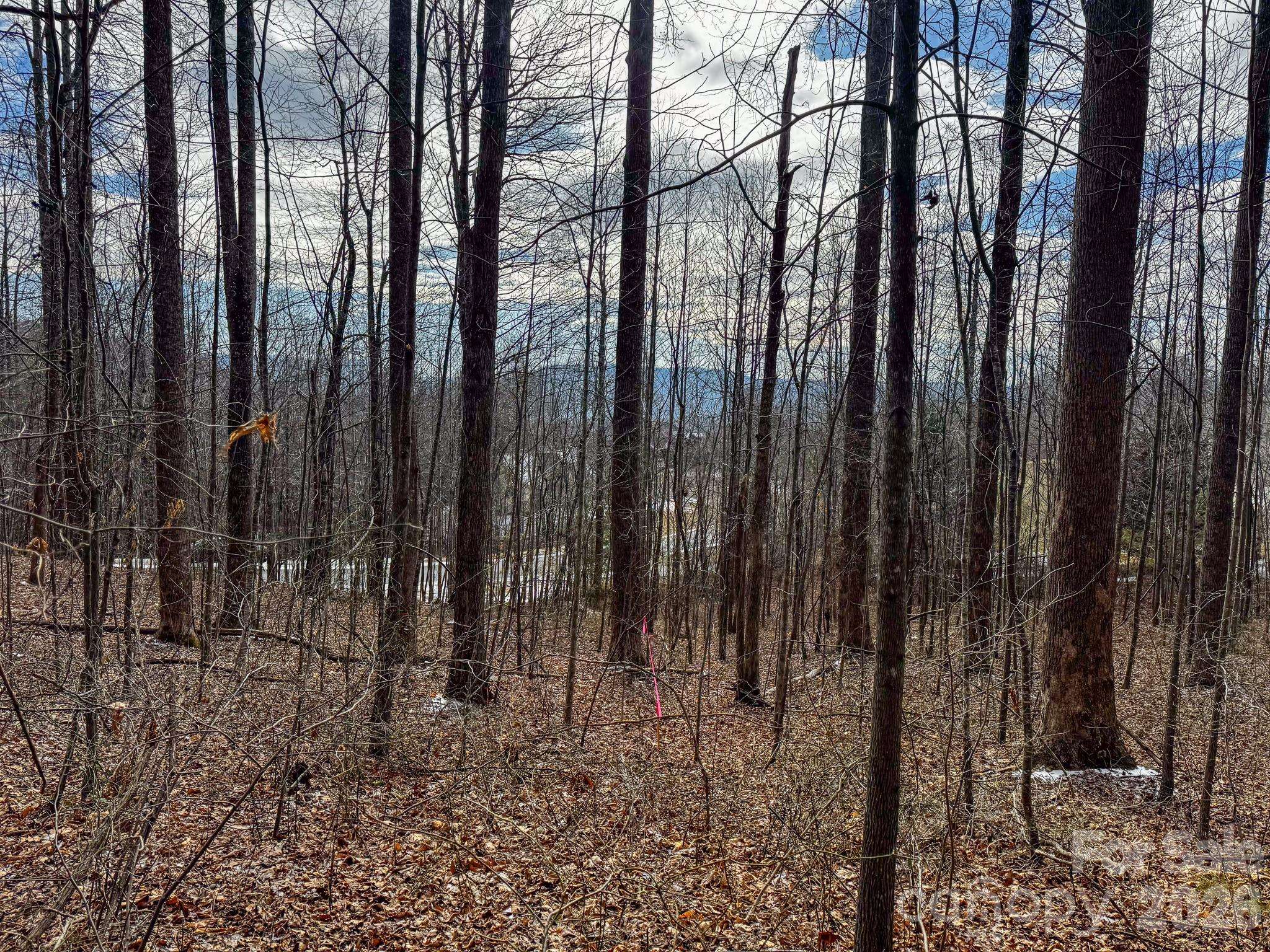 770 Somersby Pkwy, Hendersonville, NC 28739