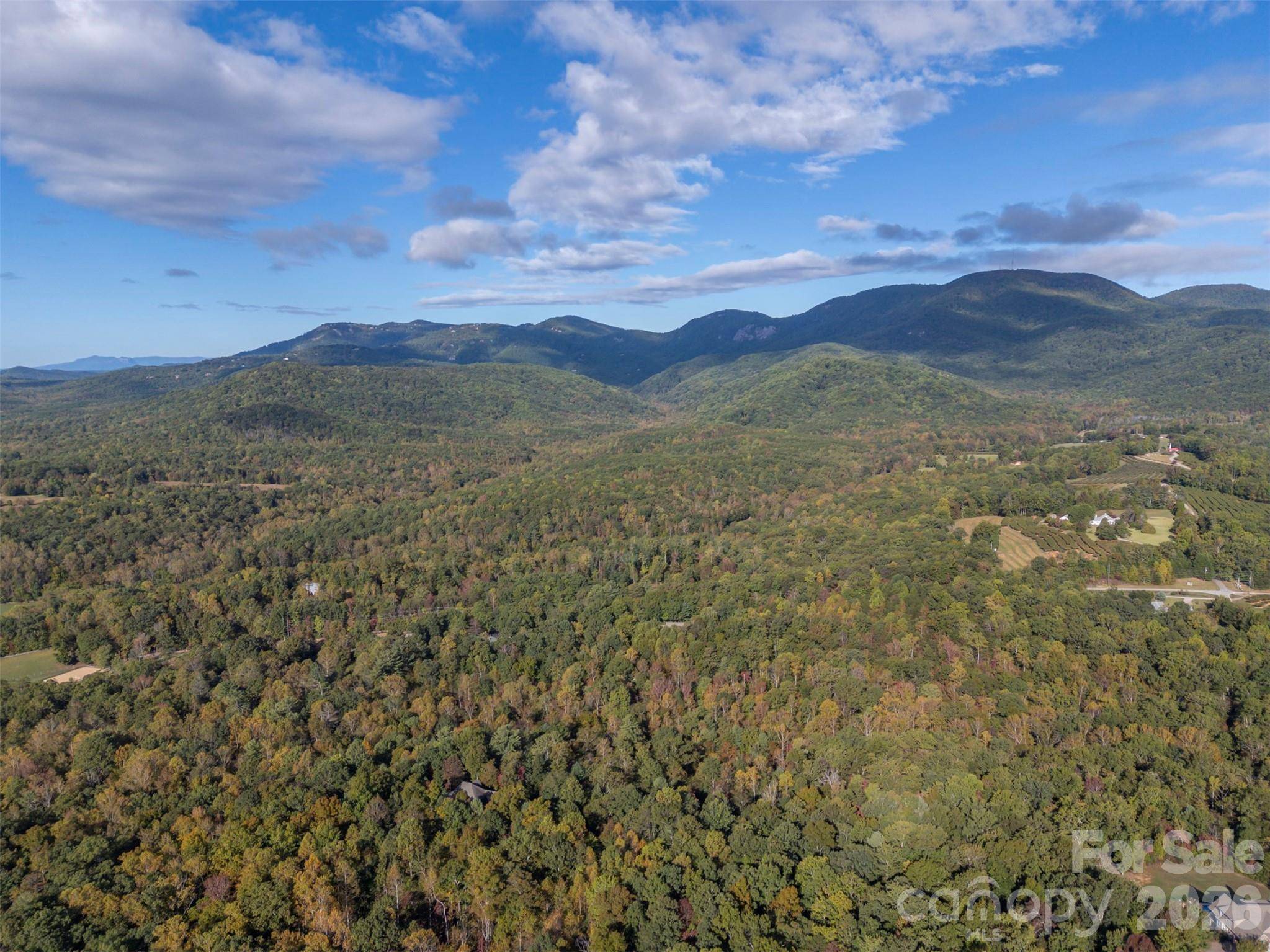 100 Pardo RD, Landrum, SC 29356