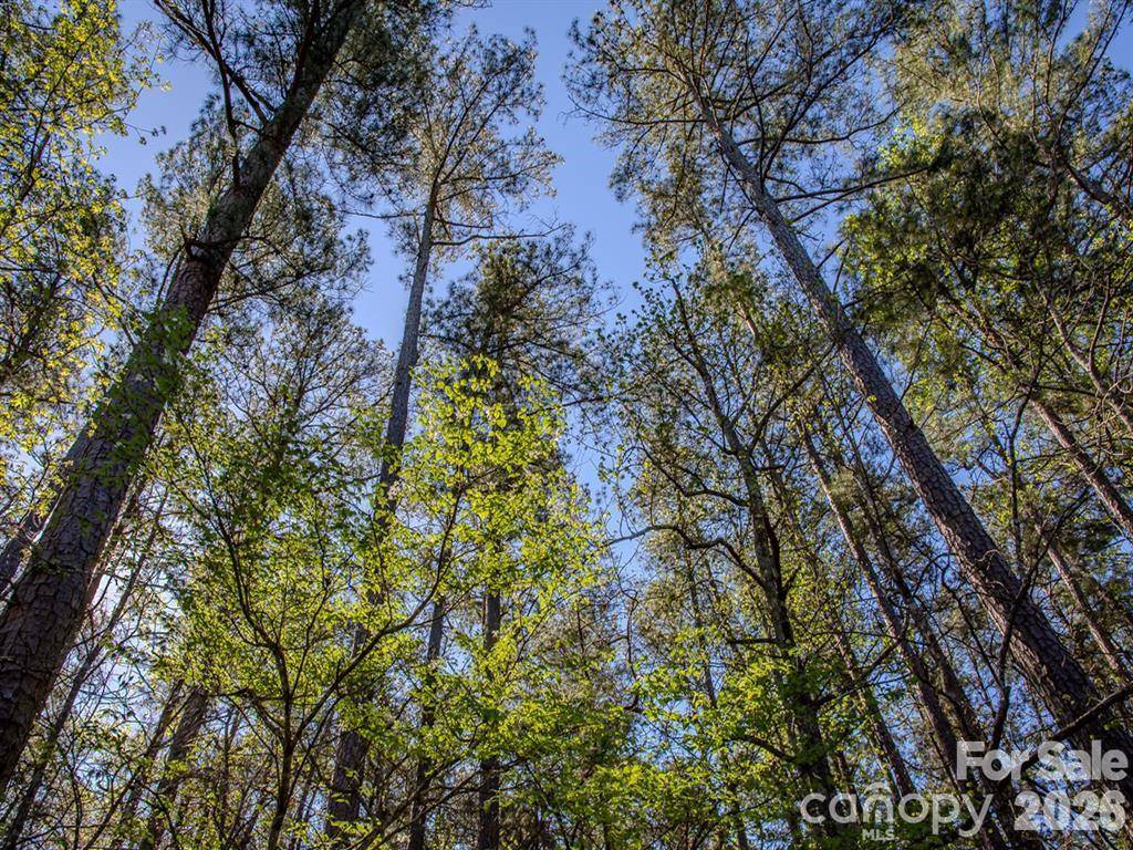 0 Catfish RD, New London, NC 28127