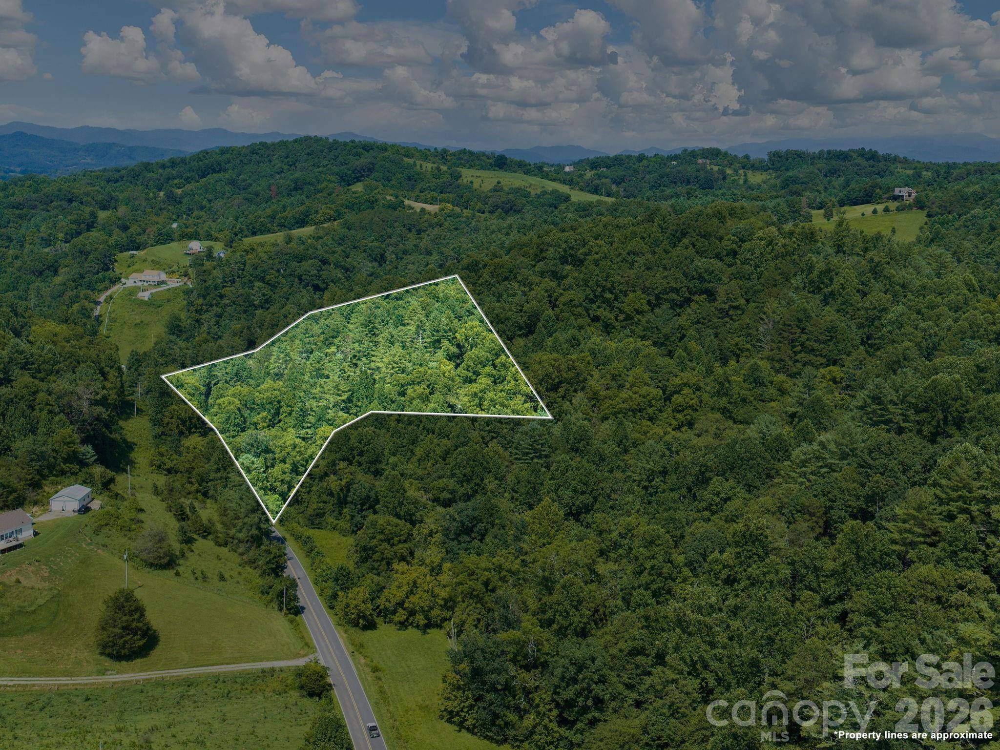 99999 Baileys Branch RD, Marshall, NC 28753