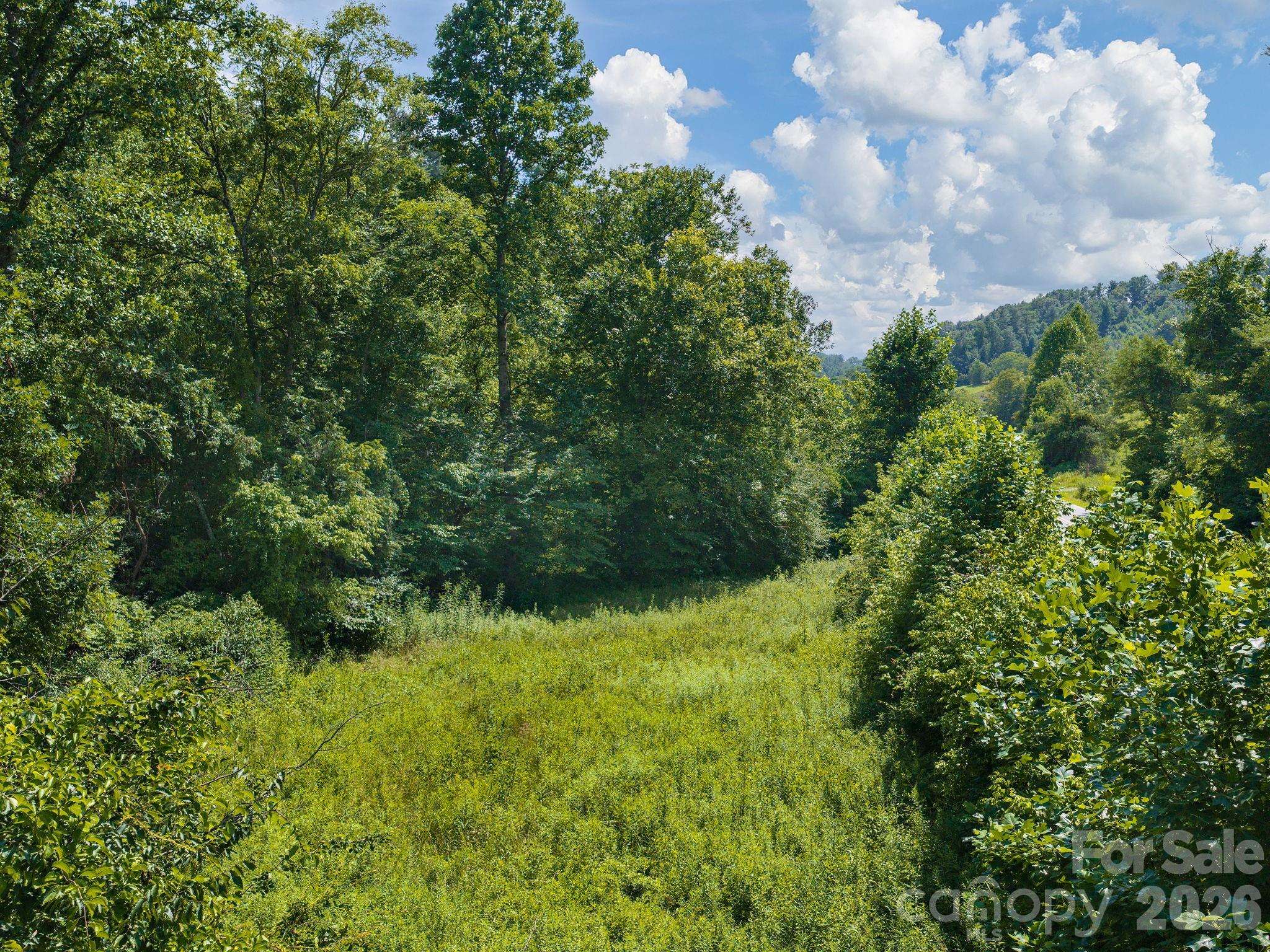 99999 Baileys Branch RD, Marshall, NC 28753