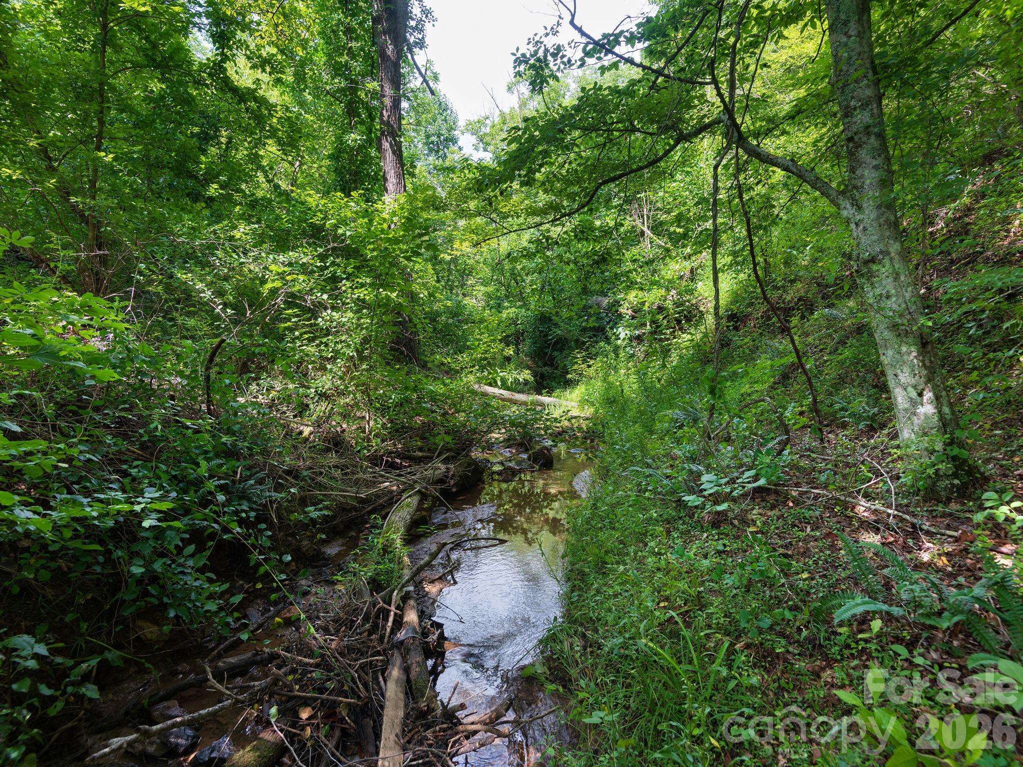 99999 Baileys Branch RD, Marshall, NC 28753