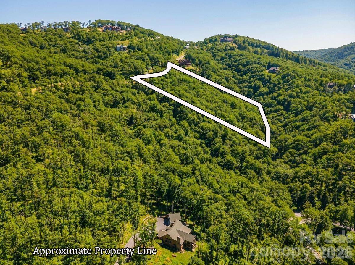 LT D54 Springwater RD #D54, Glenville, NC 28736