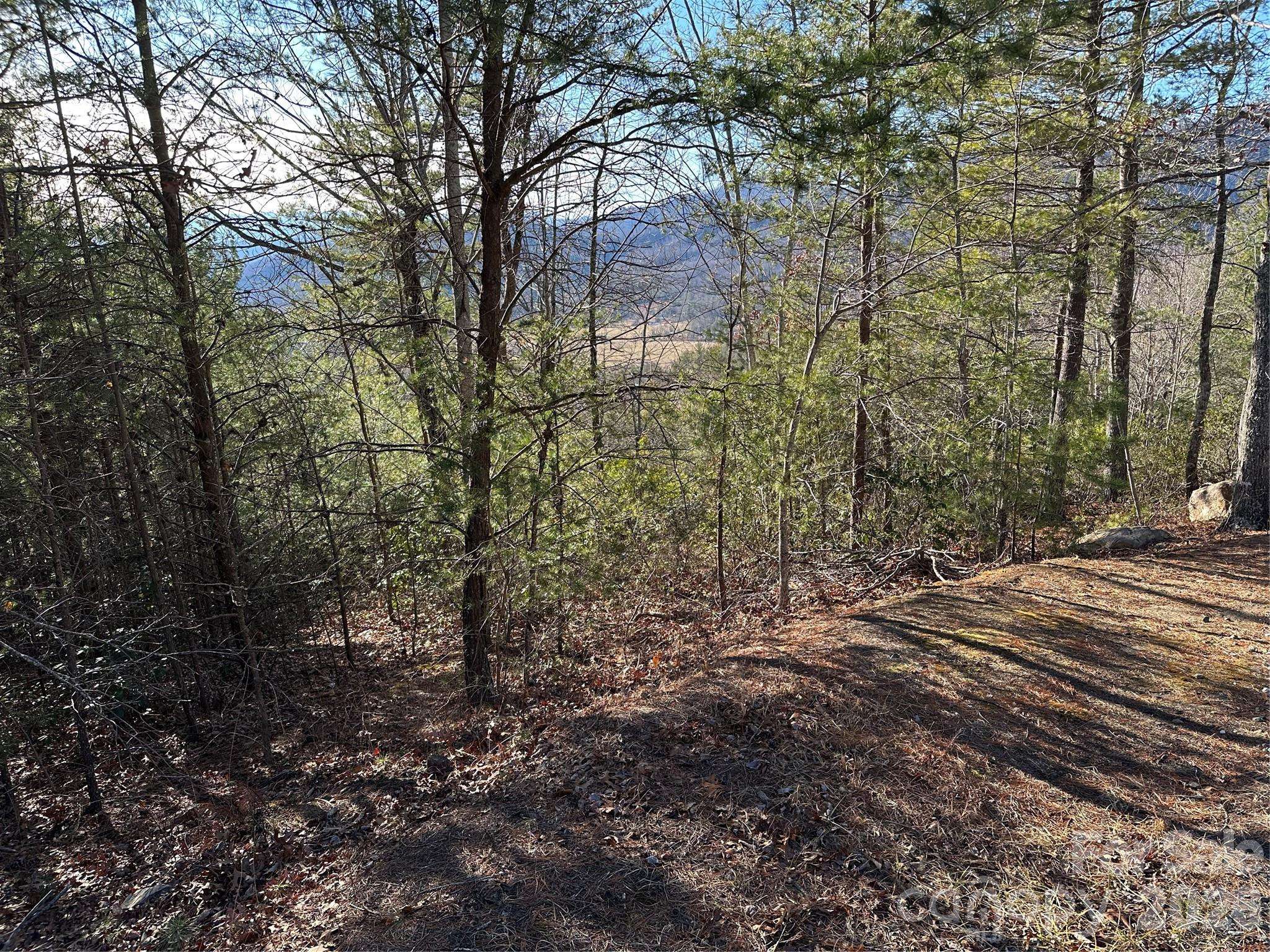 000 Fox Ridge TRL #57, Marion, NC 28752