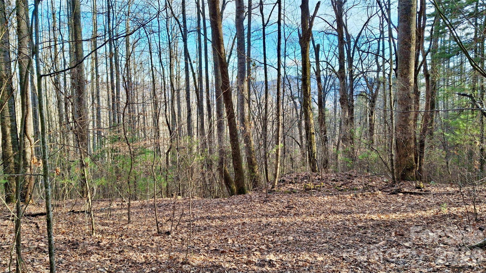 0 Briarwood RD, Webster, NC 28788
