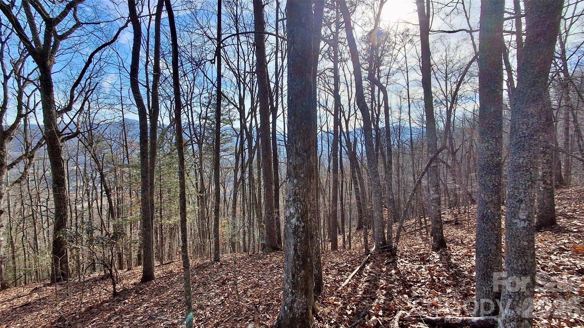 0 Briarwood RD, Webster, NC 28788