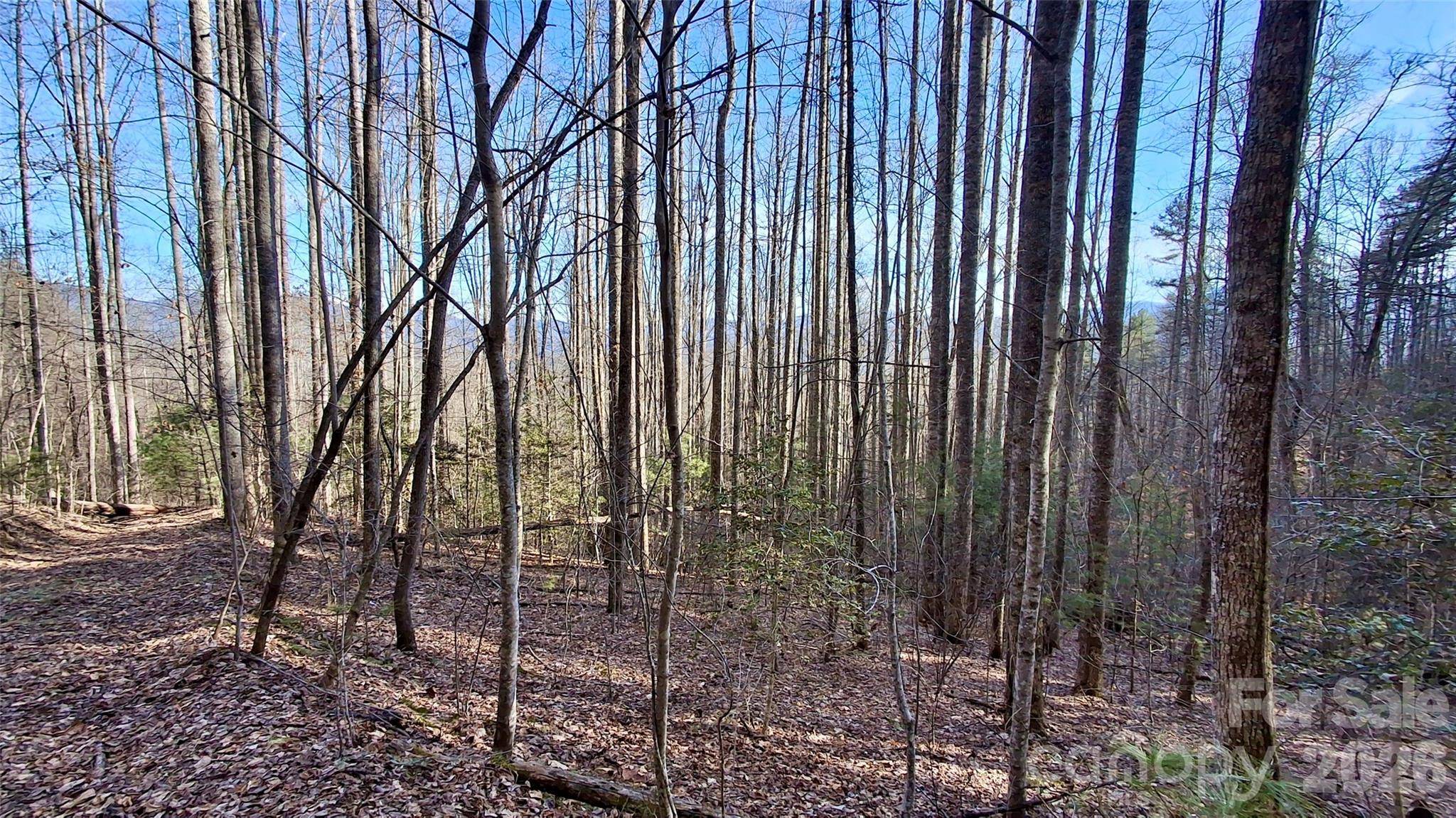 0 Briarwood RD, Webster, NC 28788