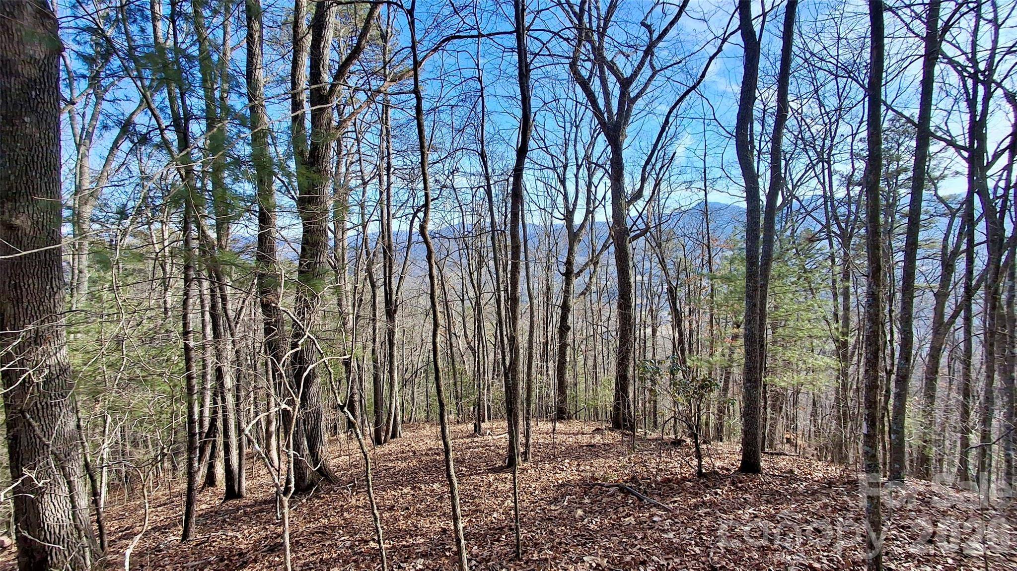 0 Briarwood RD, Webster, NC 28788