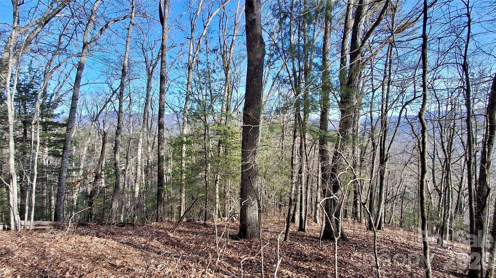 0 Briarwood RD, Webster, NC 28788