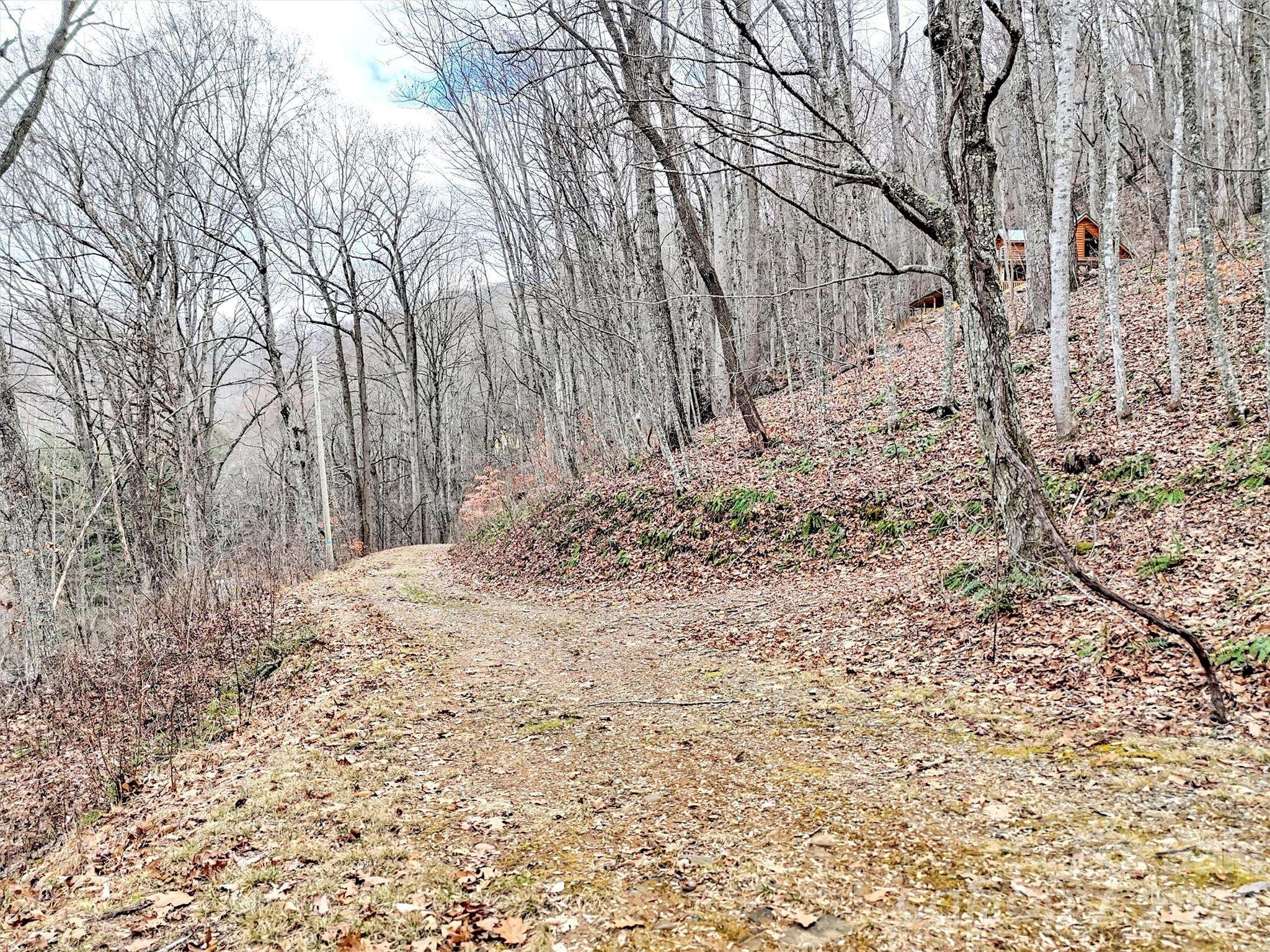 Lot 4D Pelican PL, Waynesville, NC 28786