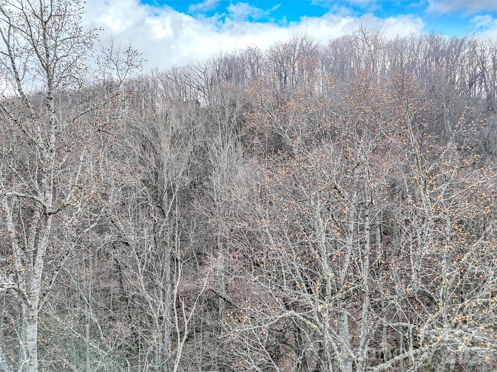 Lot 4D Pelican PL, Waynesville, NC 28786