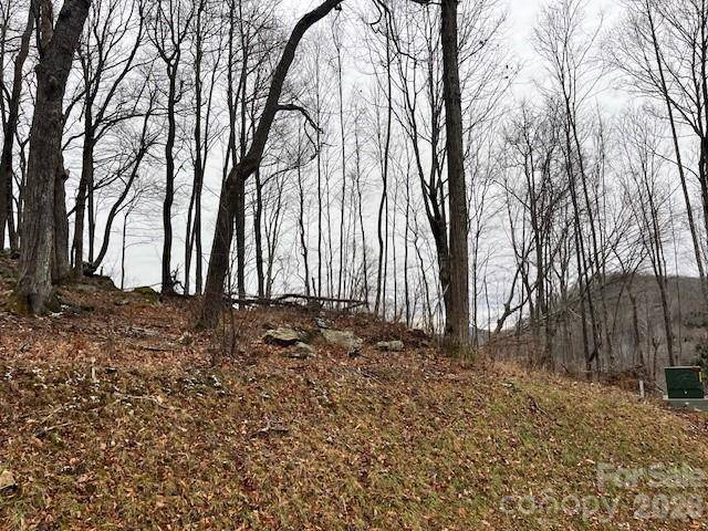 C-114 Spring Water LN, Banner Elk, NC 28604