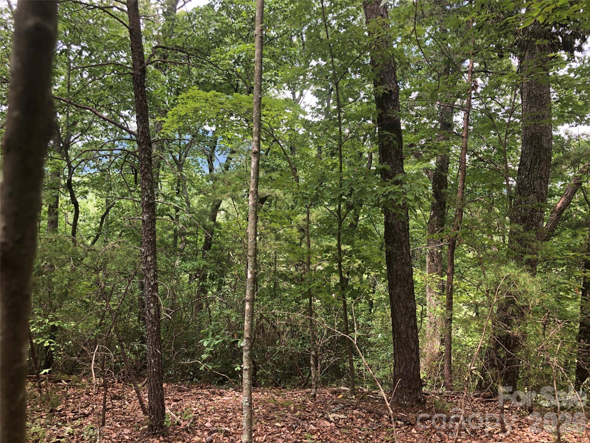 0 Buffalo Creek RD #Lot 35, Lake Lure, NC 28746