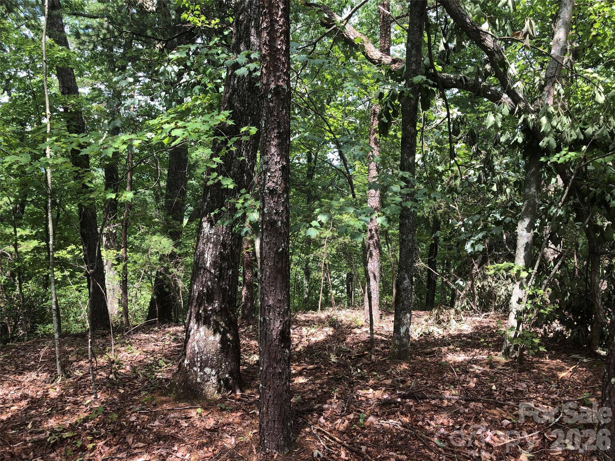 0 Buffalo Creek RD #Lot 35, Lake Lure, NC 28746