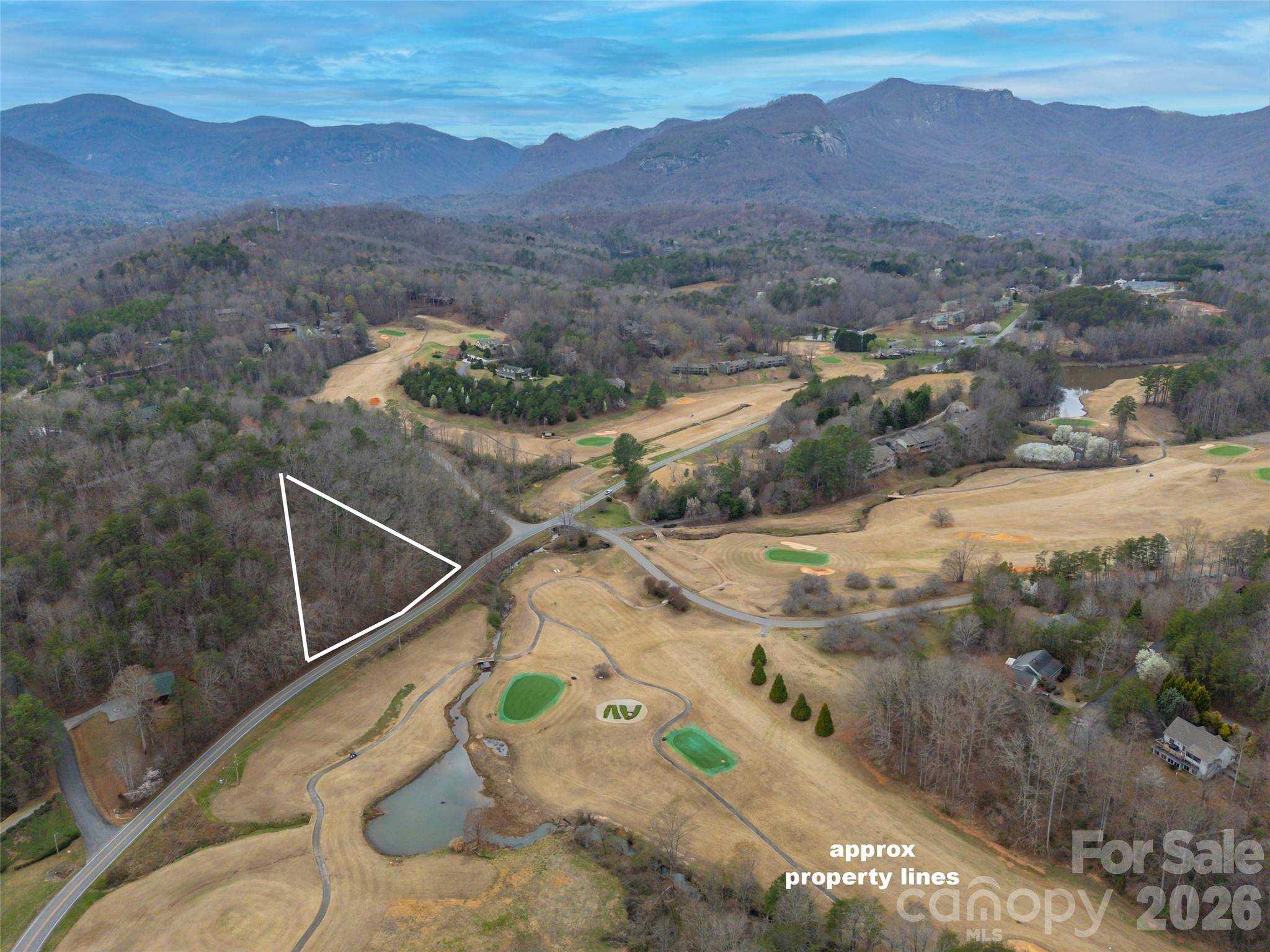 0 Buffalo Creek RD #Lot 35, Lake Lure, NC 28746