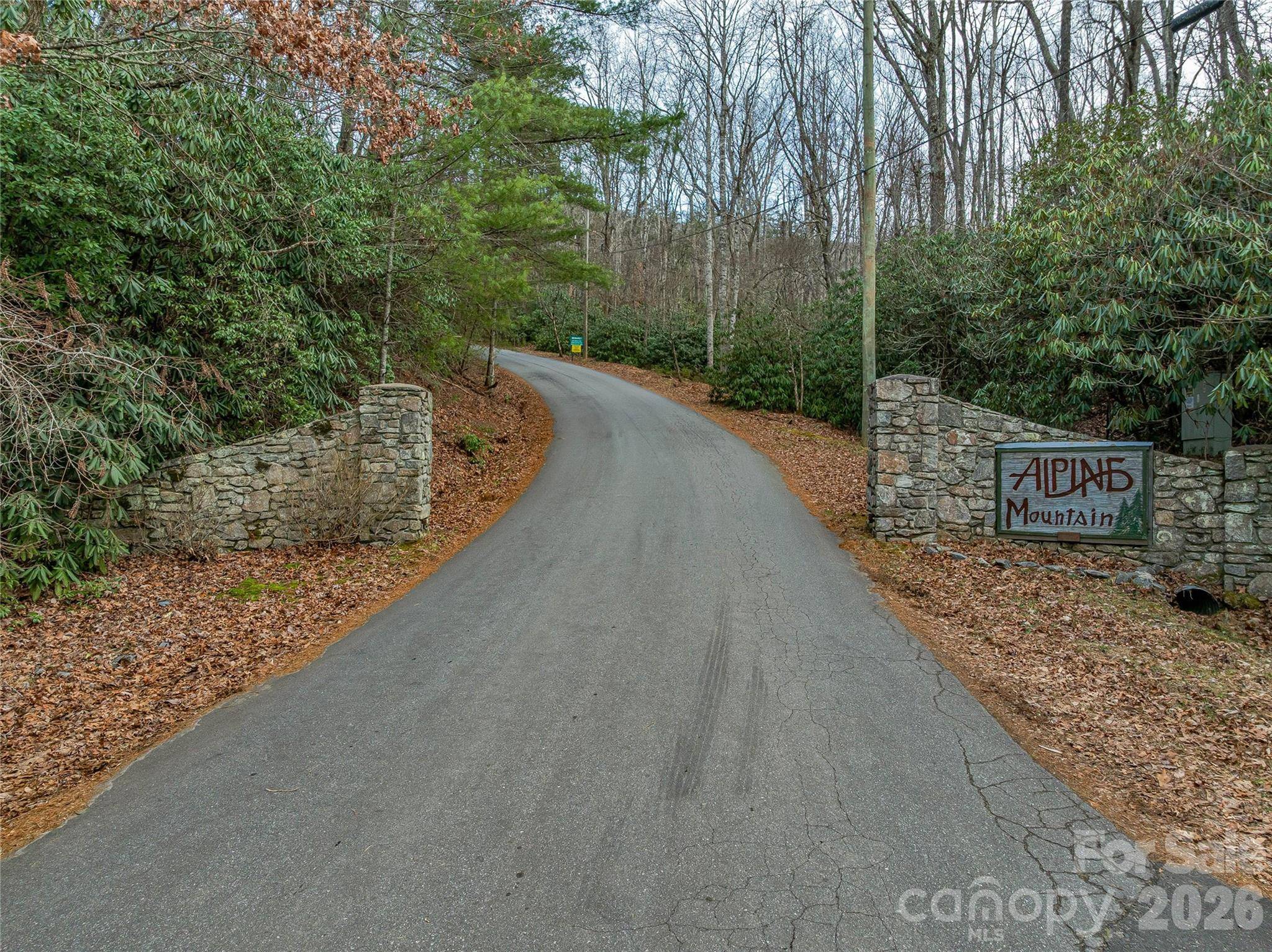 119 Wildflower Cove DR, Swannanoa, NC 28778