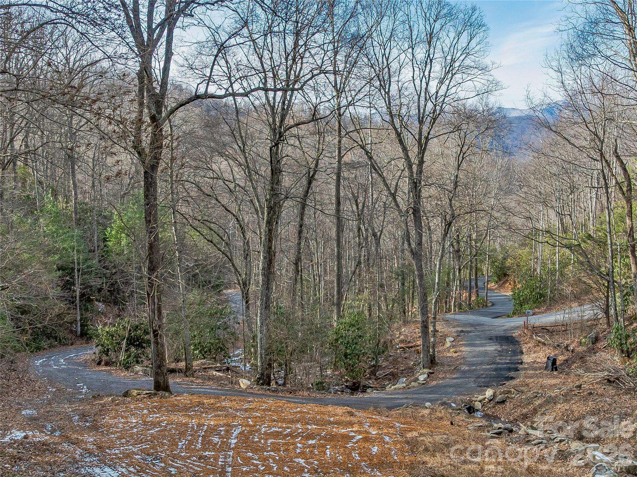 119 Wildflower Cove DR, Swannanoa, NC 28778