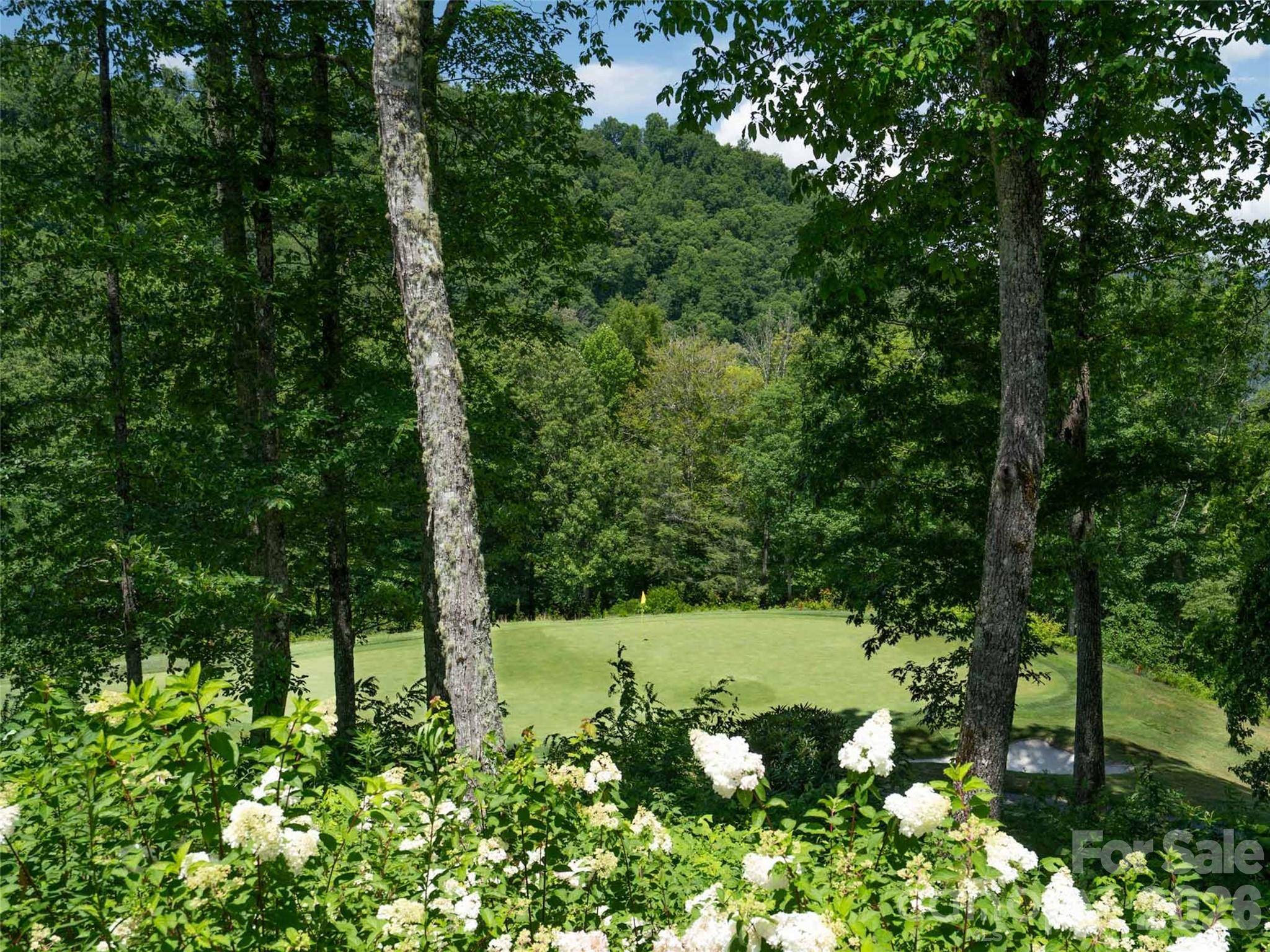 1839 Grandview DR, Tuckasegee, NC 28783