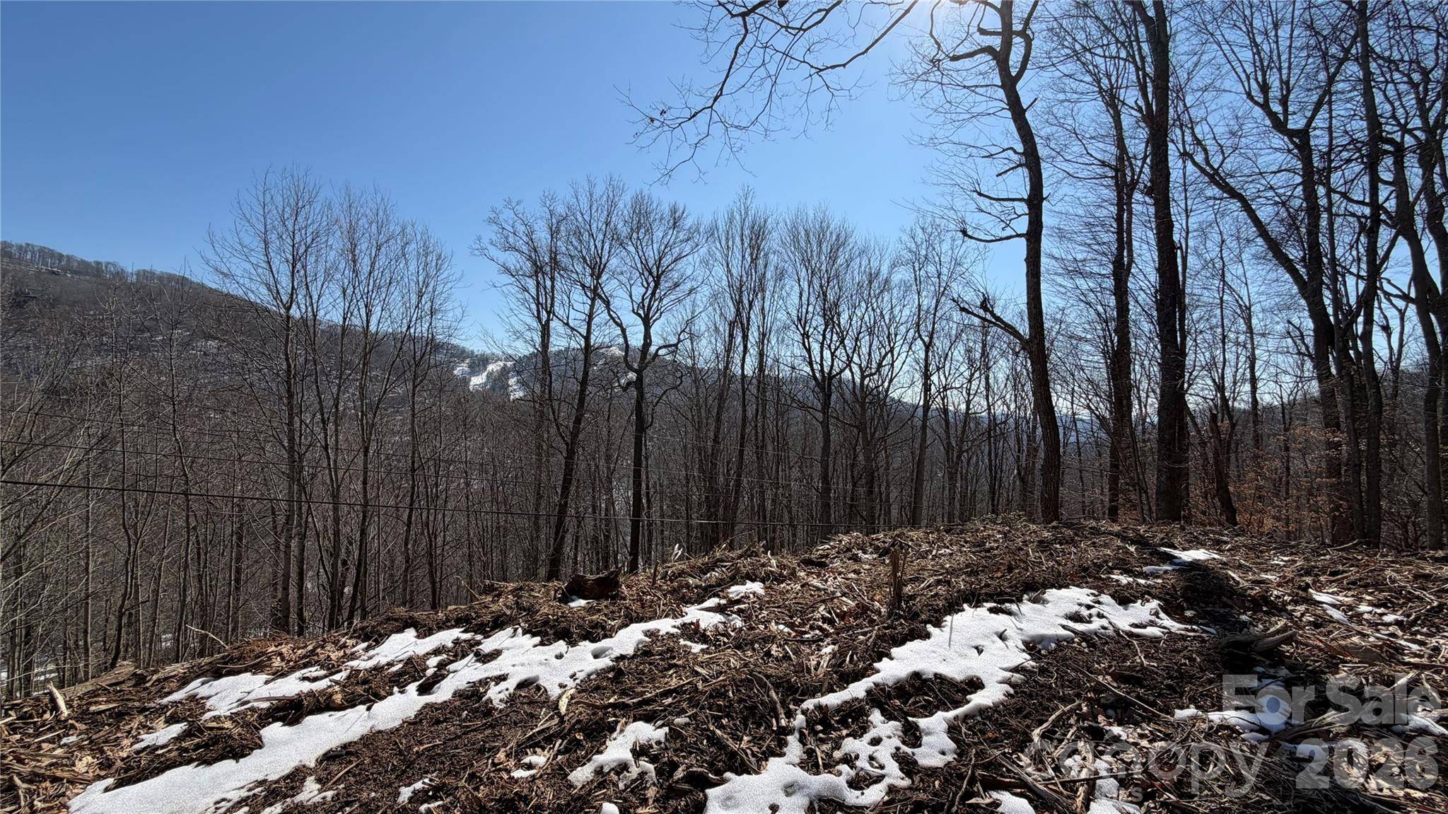 000 Fox Den RD #109, Mars Hill, NC 28754
