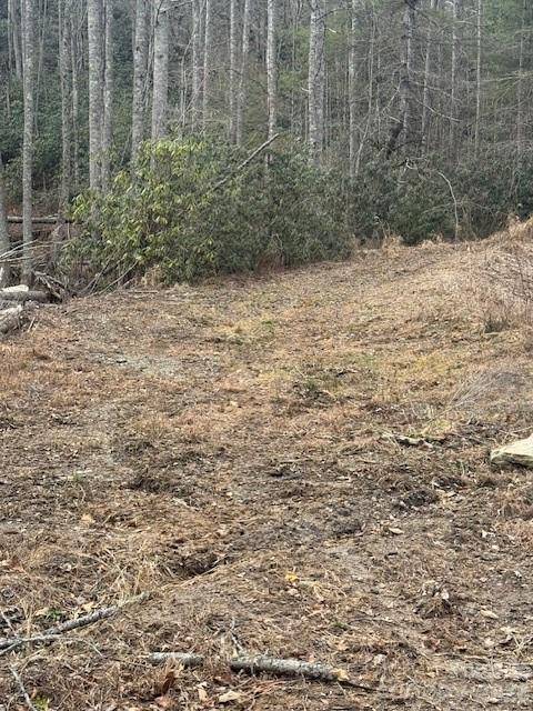 0 Benton DR, Etowah, NC 28729