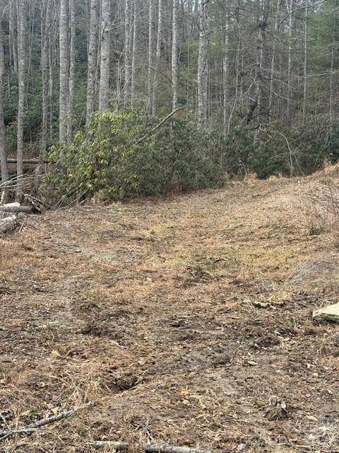 0 Benton DR, Etowah, NC 28729