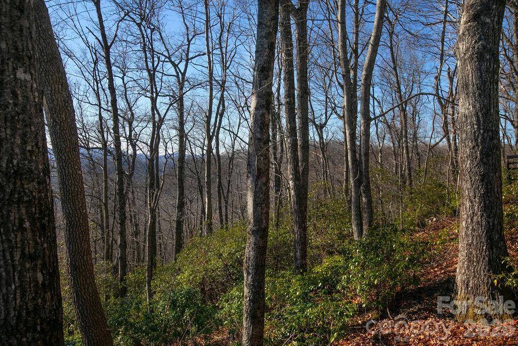 TBD Oak Ridge RD #17, Rosman, NC 28772