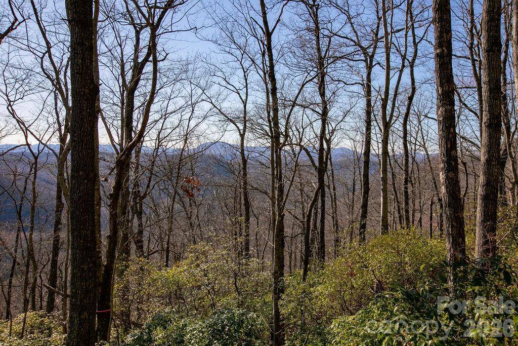 TBD Oak Ridge RD #17, Rosman, NC 28772