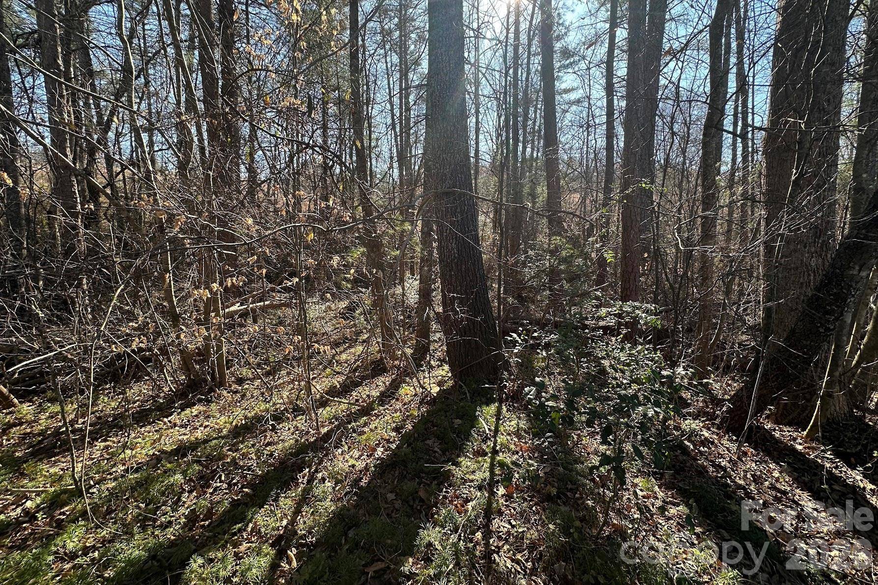 0 Clarence Towery CIR, Hildebran, NC 28637