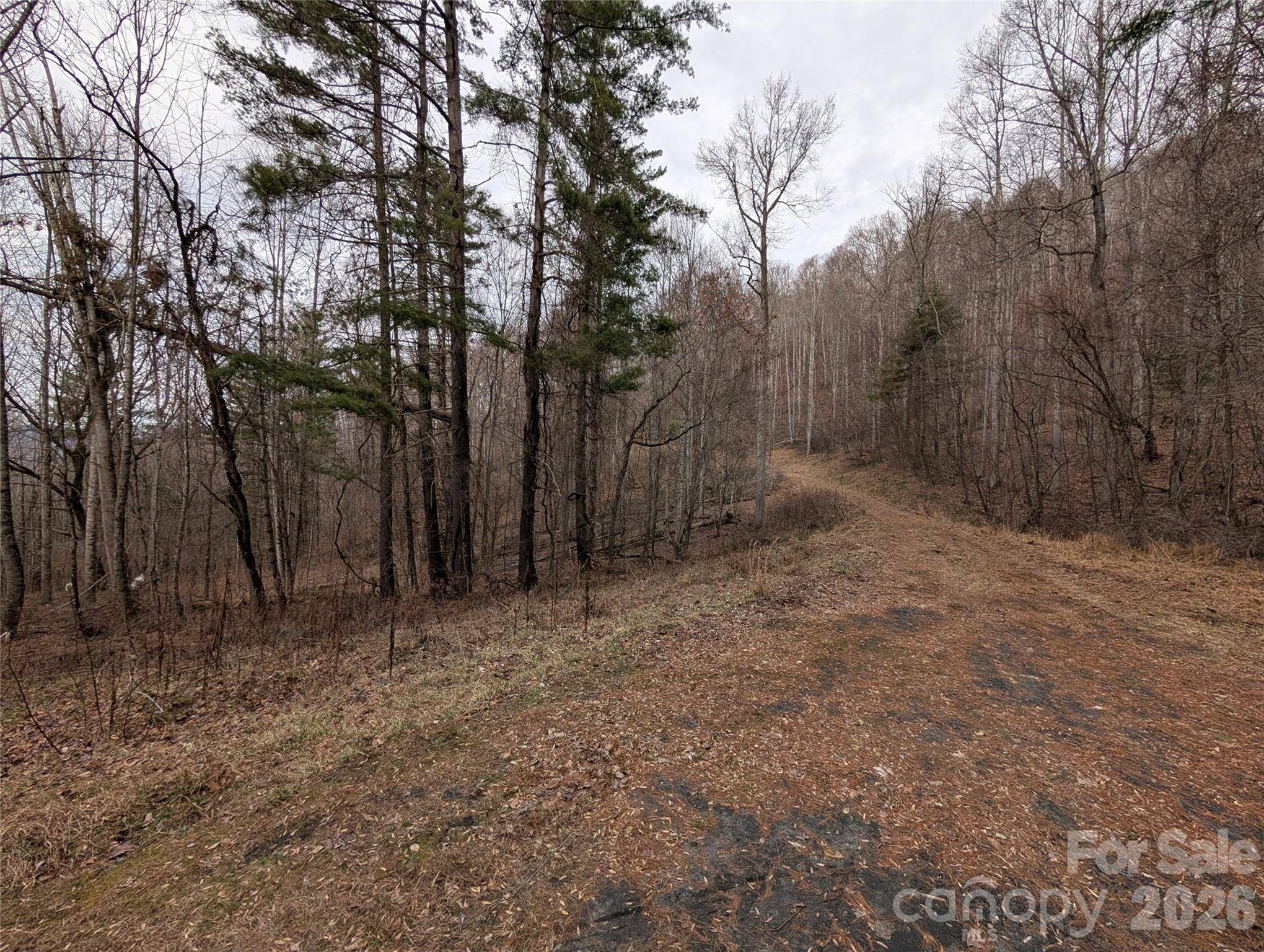 000 Wild Turkey Pen RD, Bakersville, NC 28705