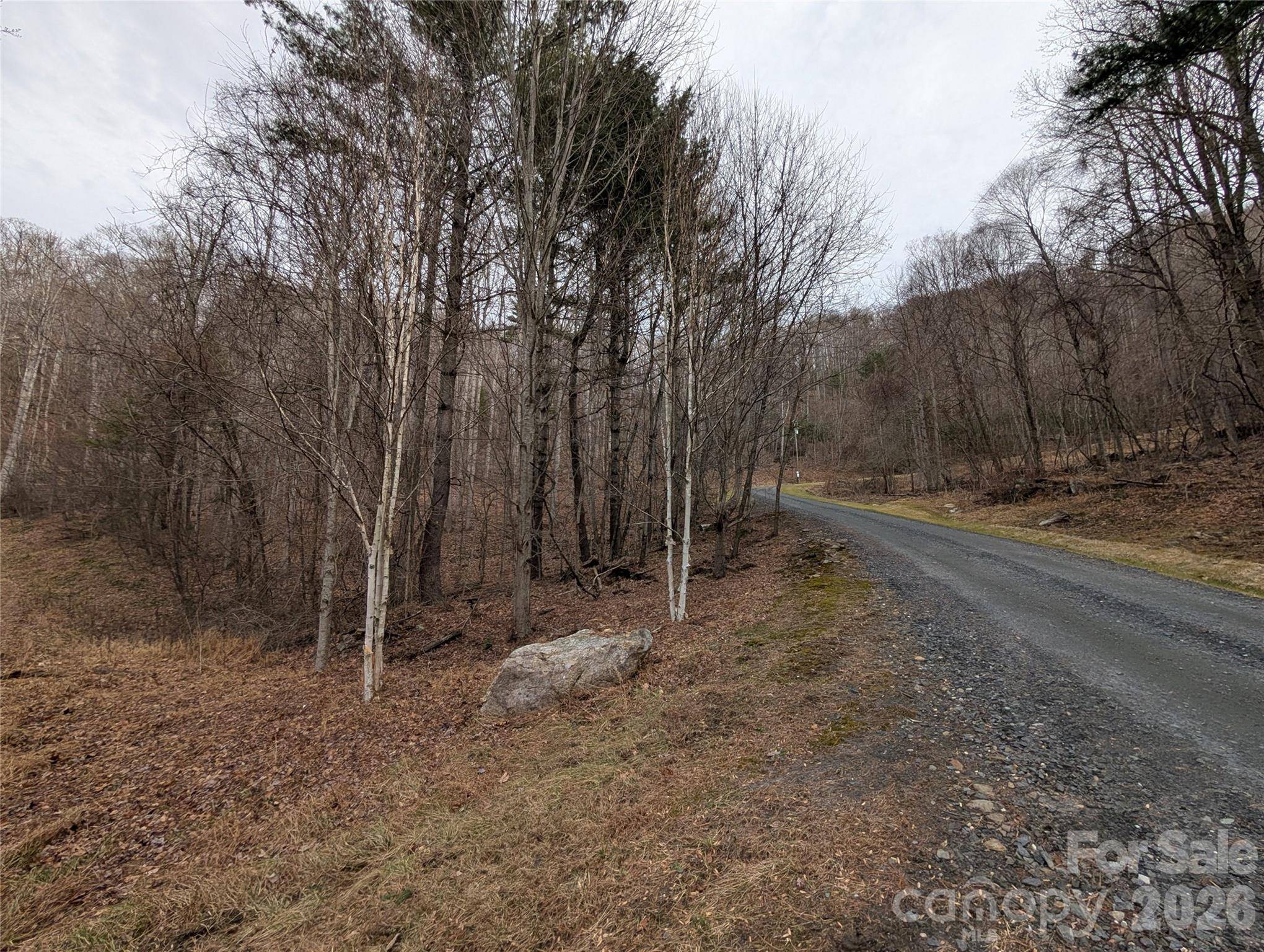 000 Wild Turkey Pen RD, Bakersville, NC 28705