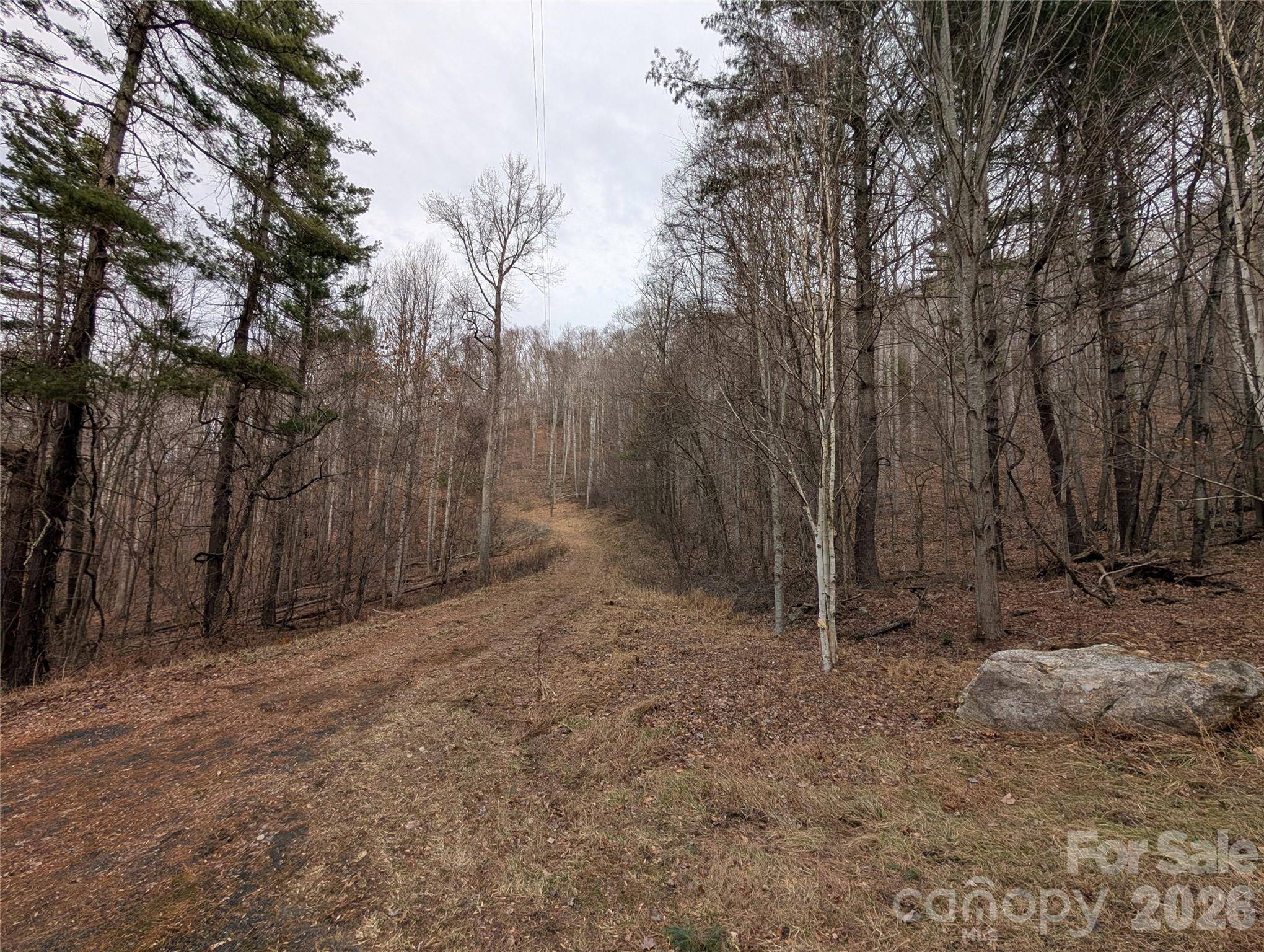 000 Wild Turkey Pen RD, Bakersville, NC 28705
