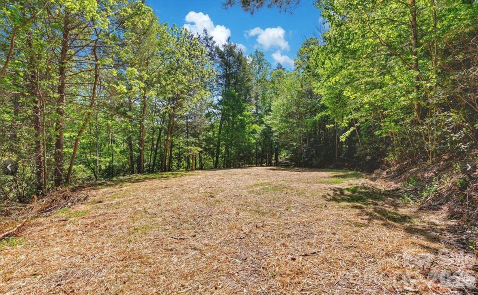 1127 Bee Tree RD, Swannanoa, NC 28778