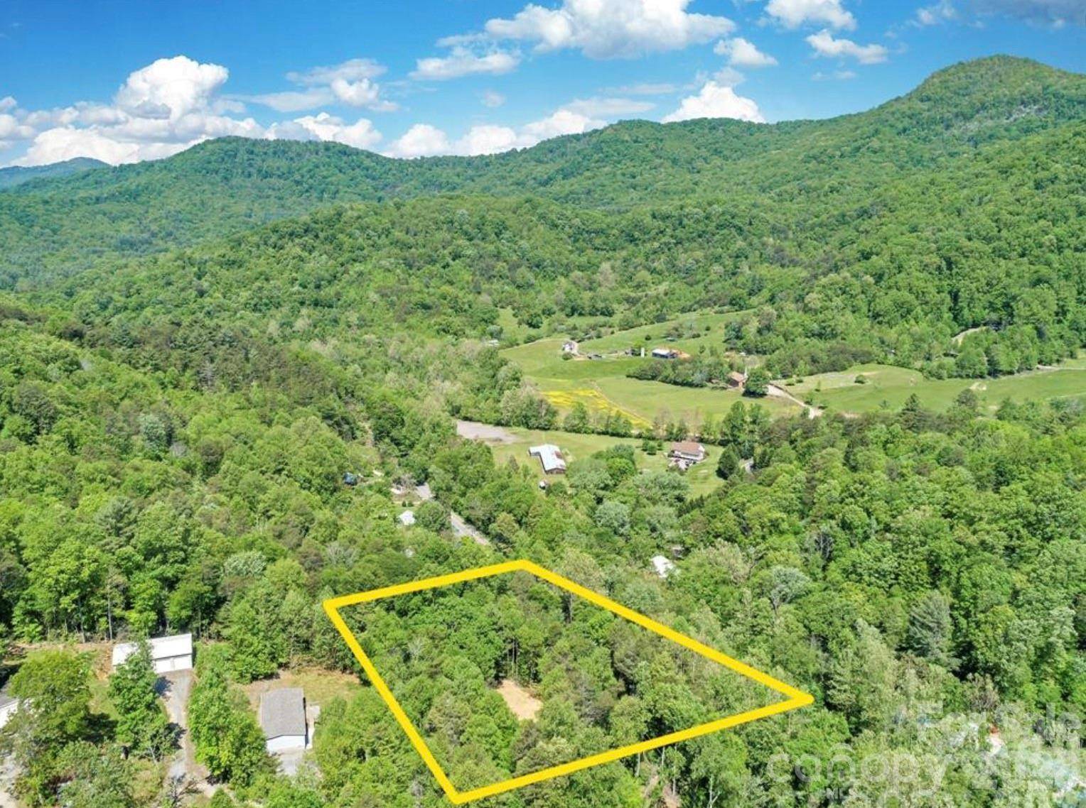 1127 Bee Tree RD, Swannanoa, NC 28778