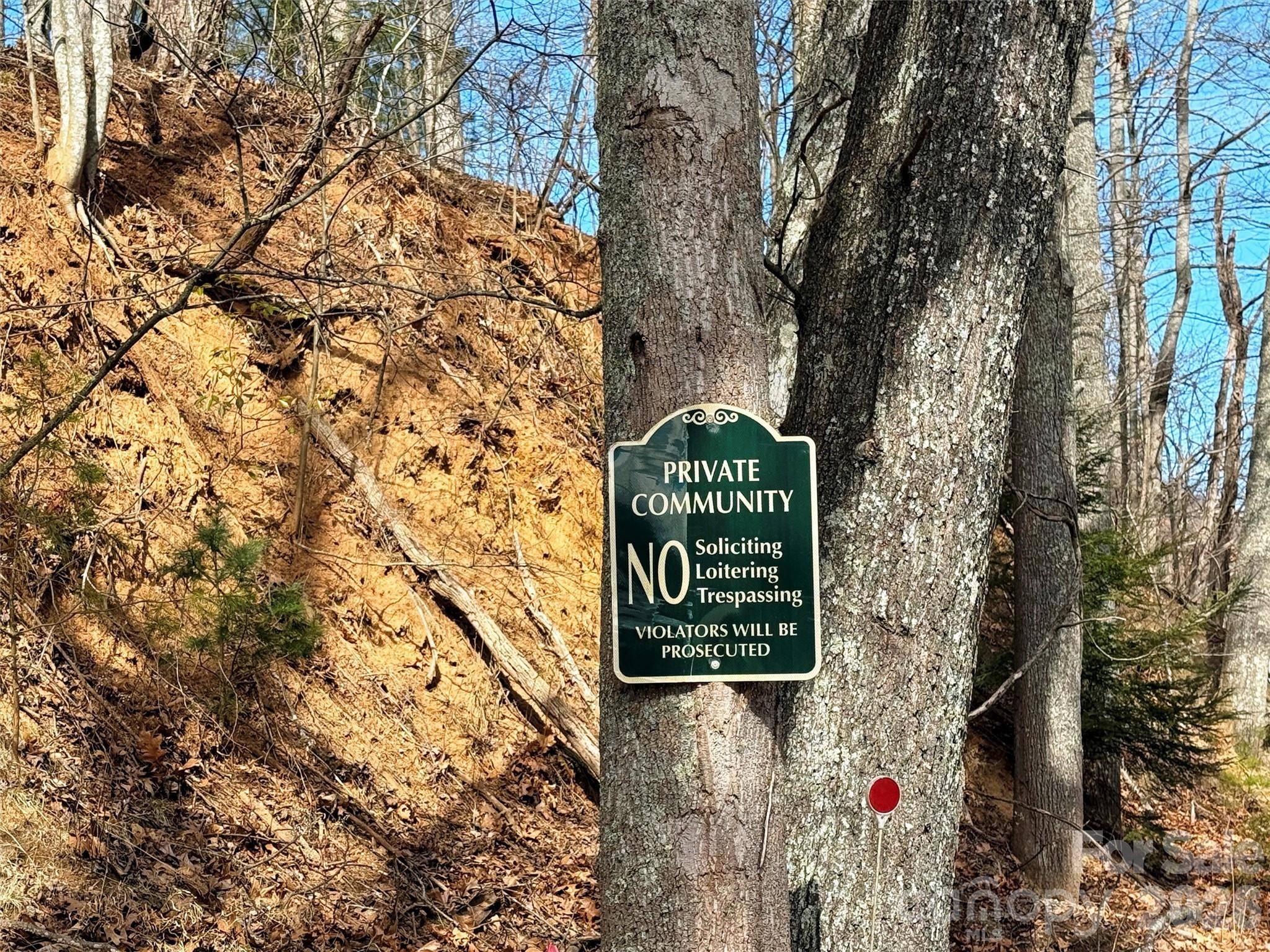 TBD Rock Ridge RD #9A & 9B, Leicester, NC 28748