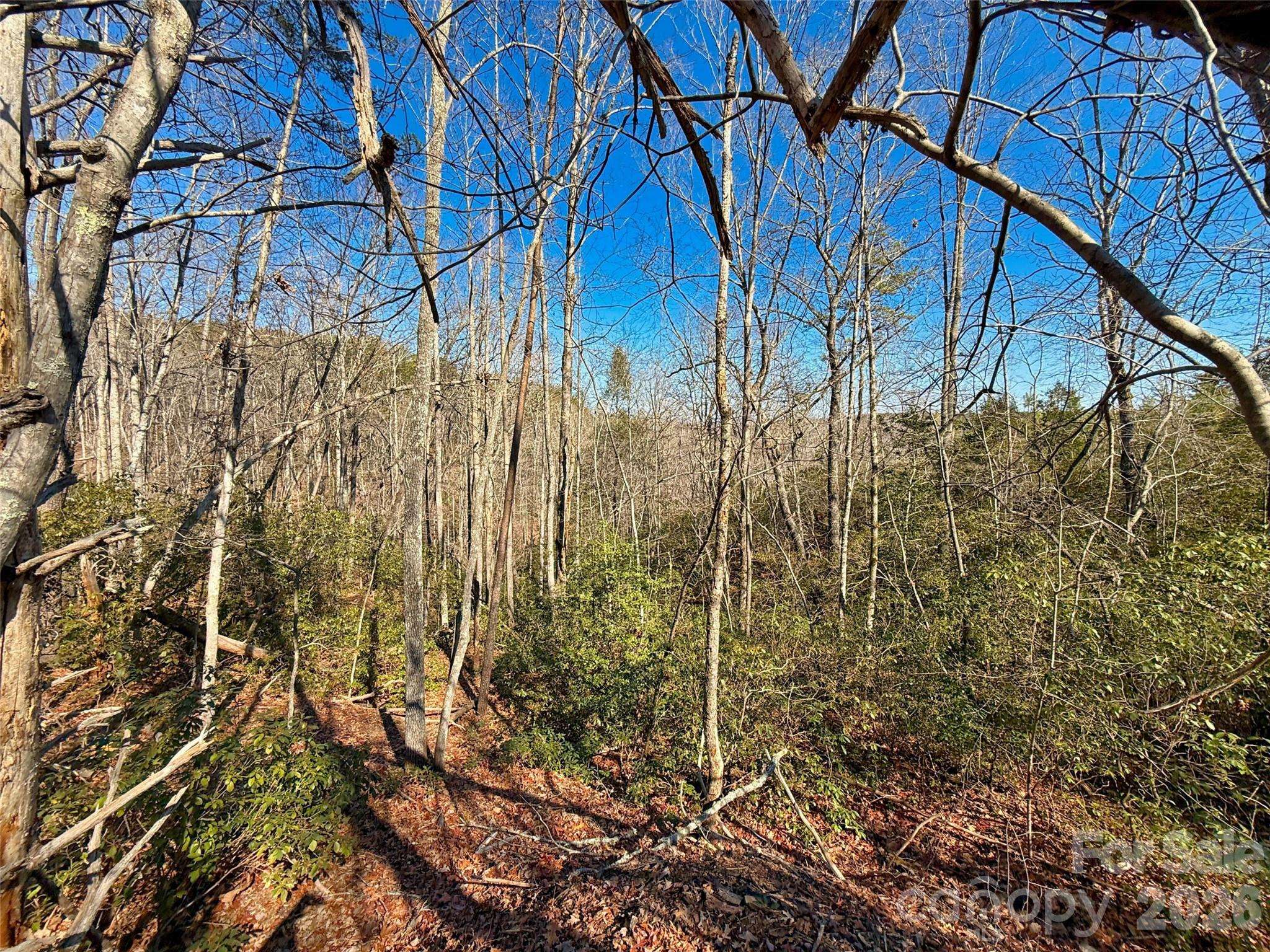 Lots 79 80 100 Westridge DR, Lake Lure, NC 28746
