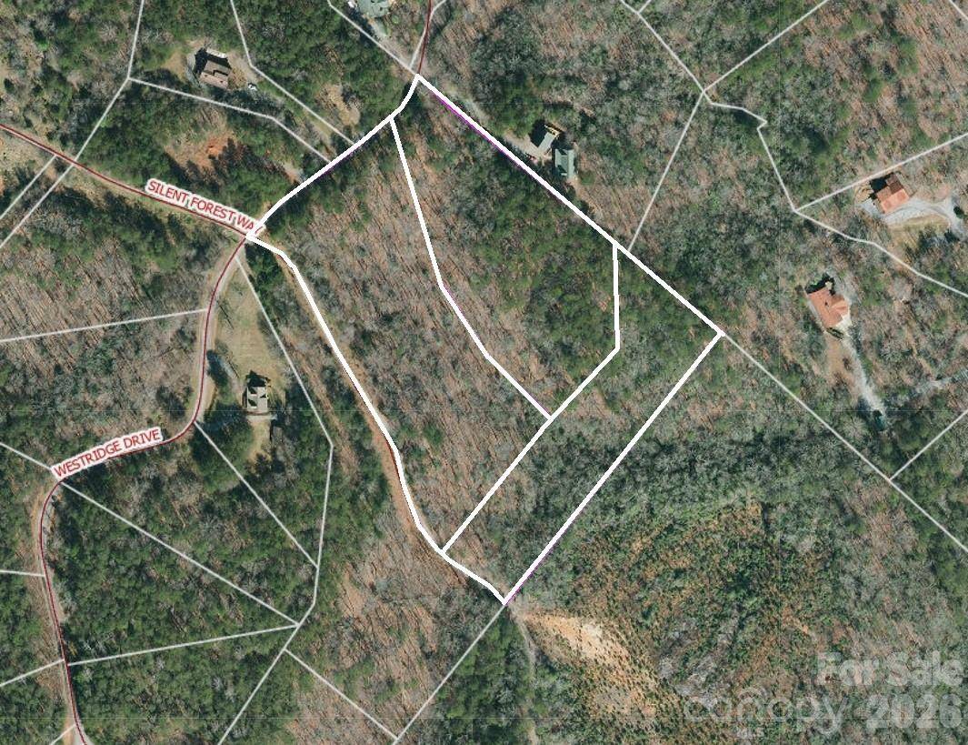 Lots 79 80 100 Westridge DR, Lake Lure, NC 28746