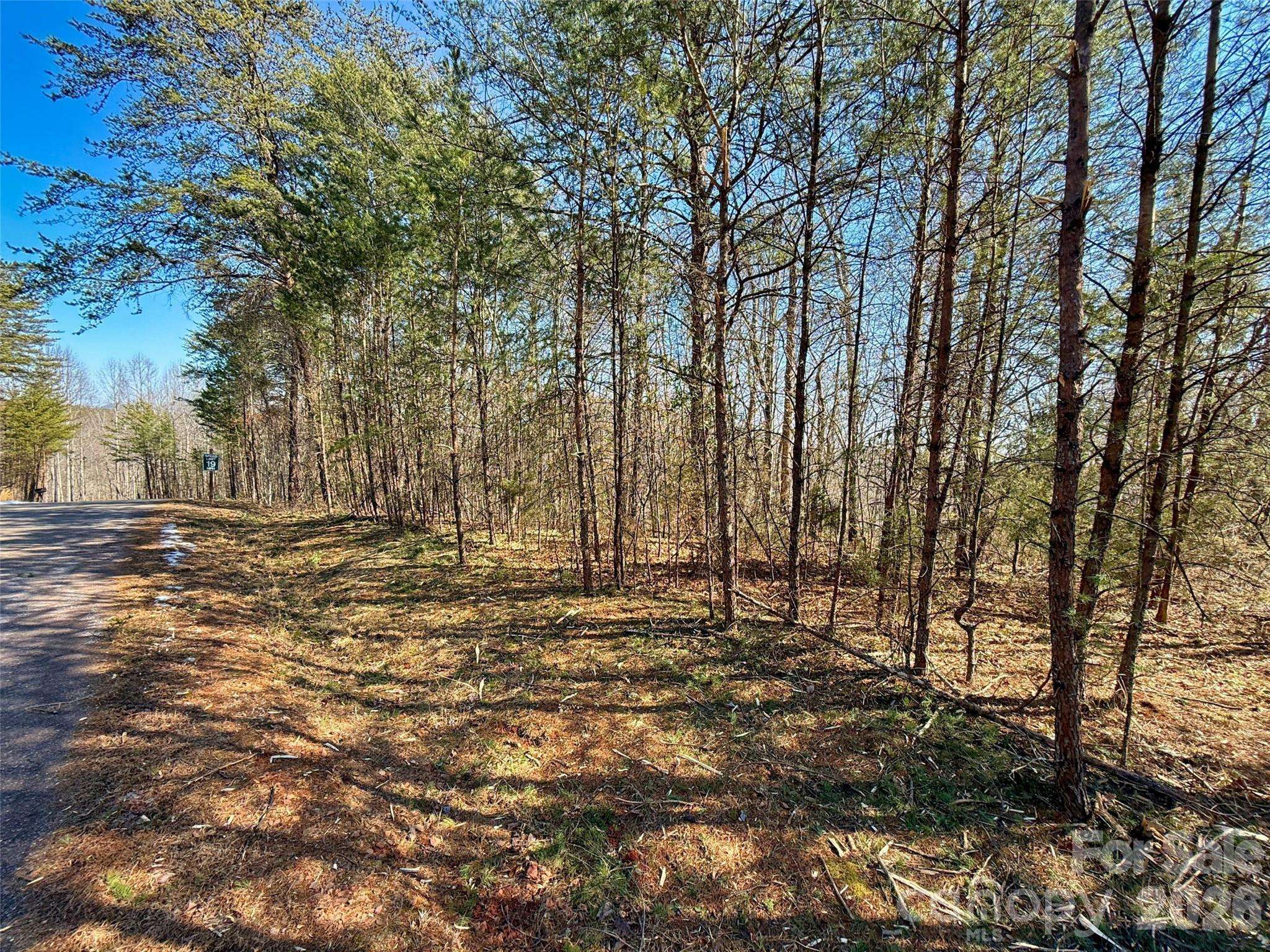 Lots 79 80 100 Westridge DR, Lake Lure, NC 28746