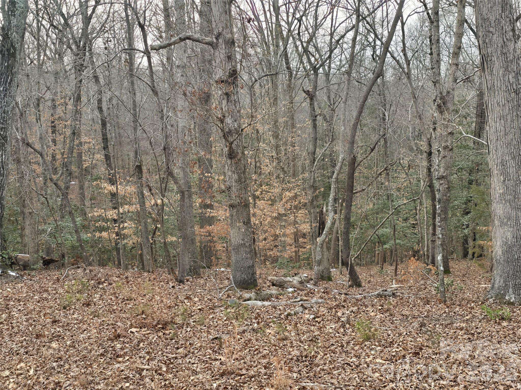 301 Chinkapin RD, Troy, NC 27371