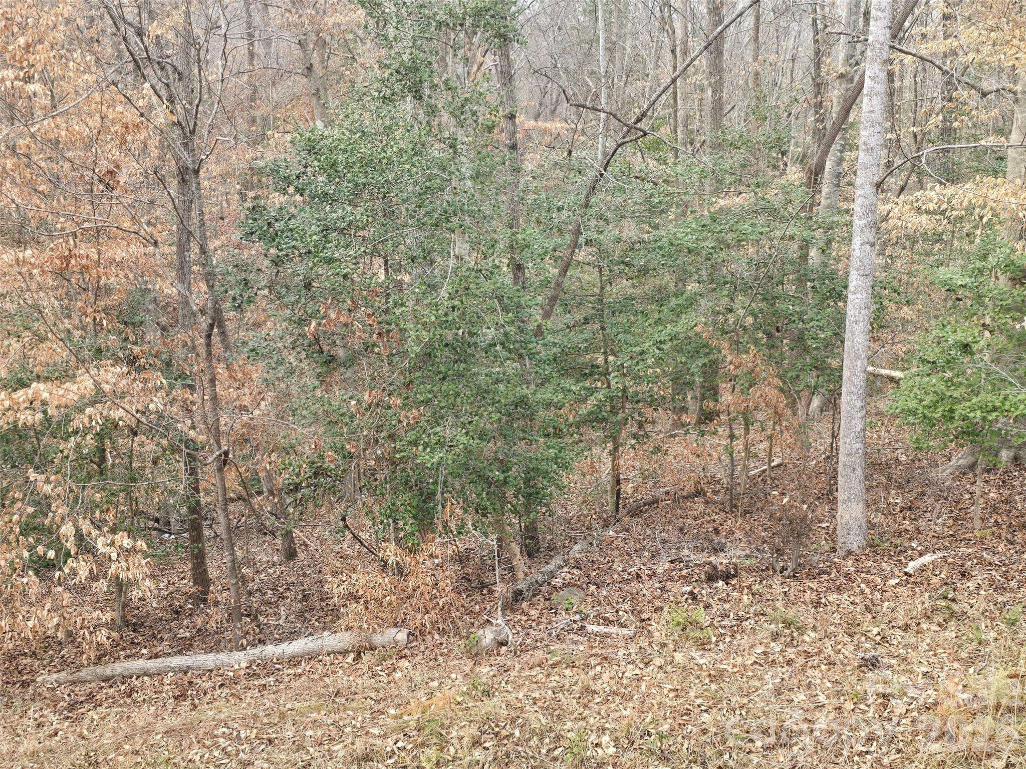 301 Chinkapin RD, Troy, NC 27371