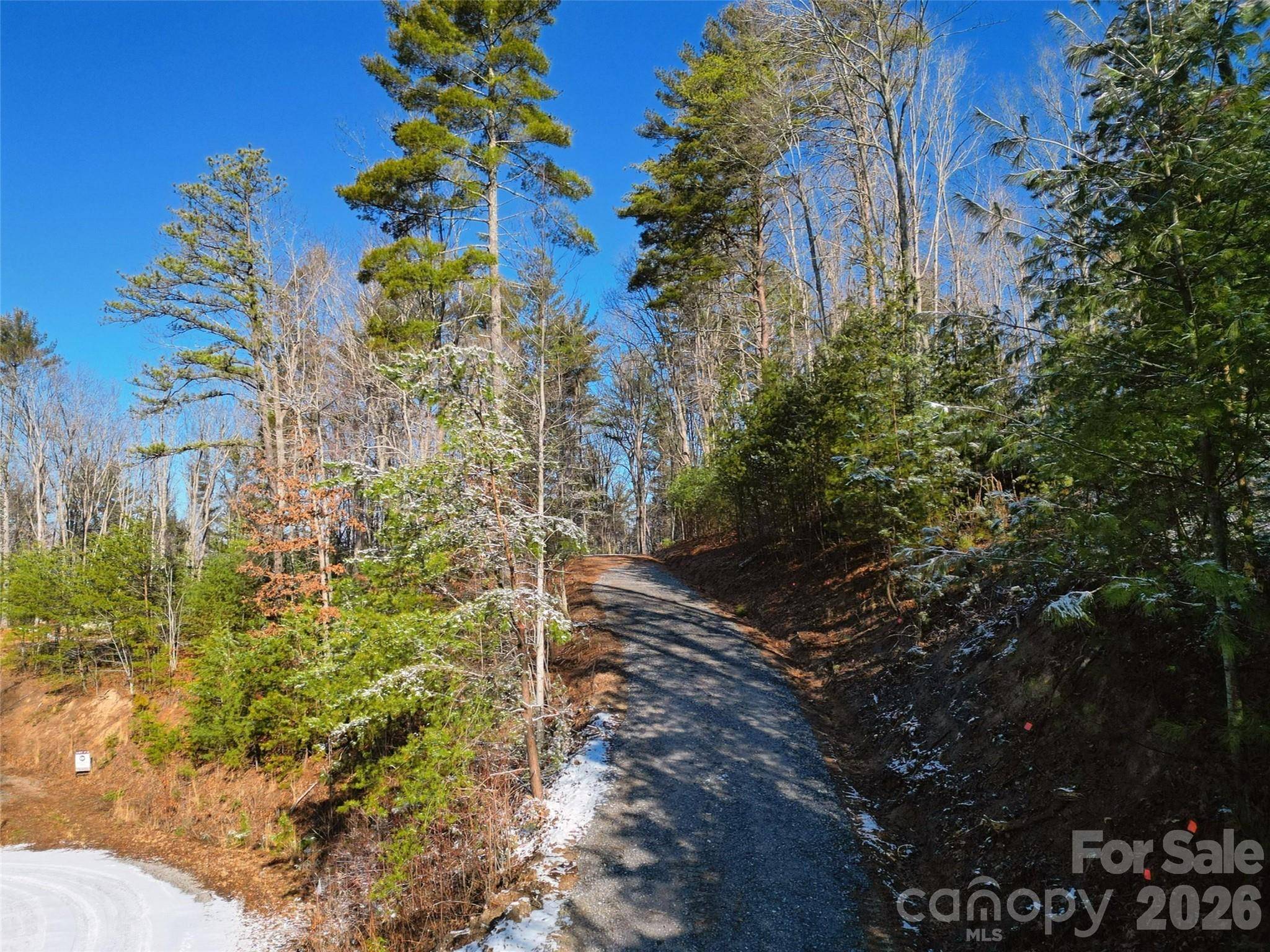 3 Dream Valley DR #3, Clyde, NC 28721