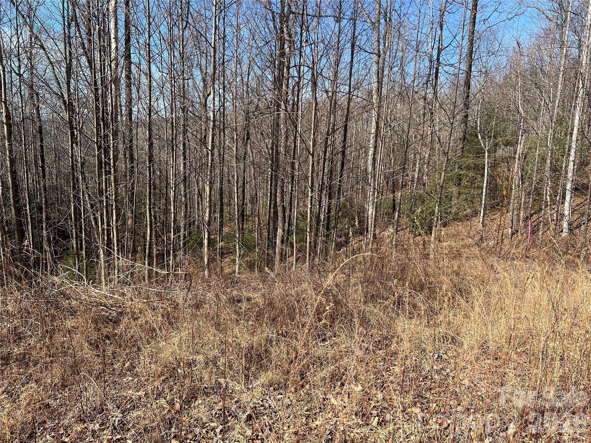 521 Timber Rock DR #521, Lenoir, NC 28604