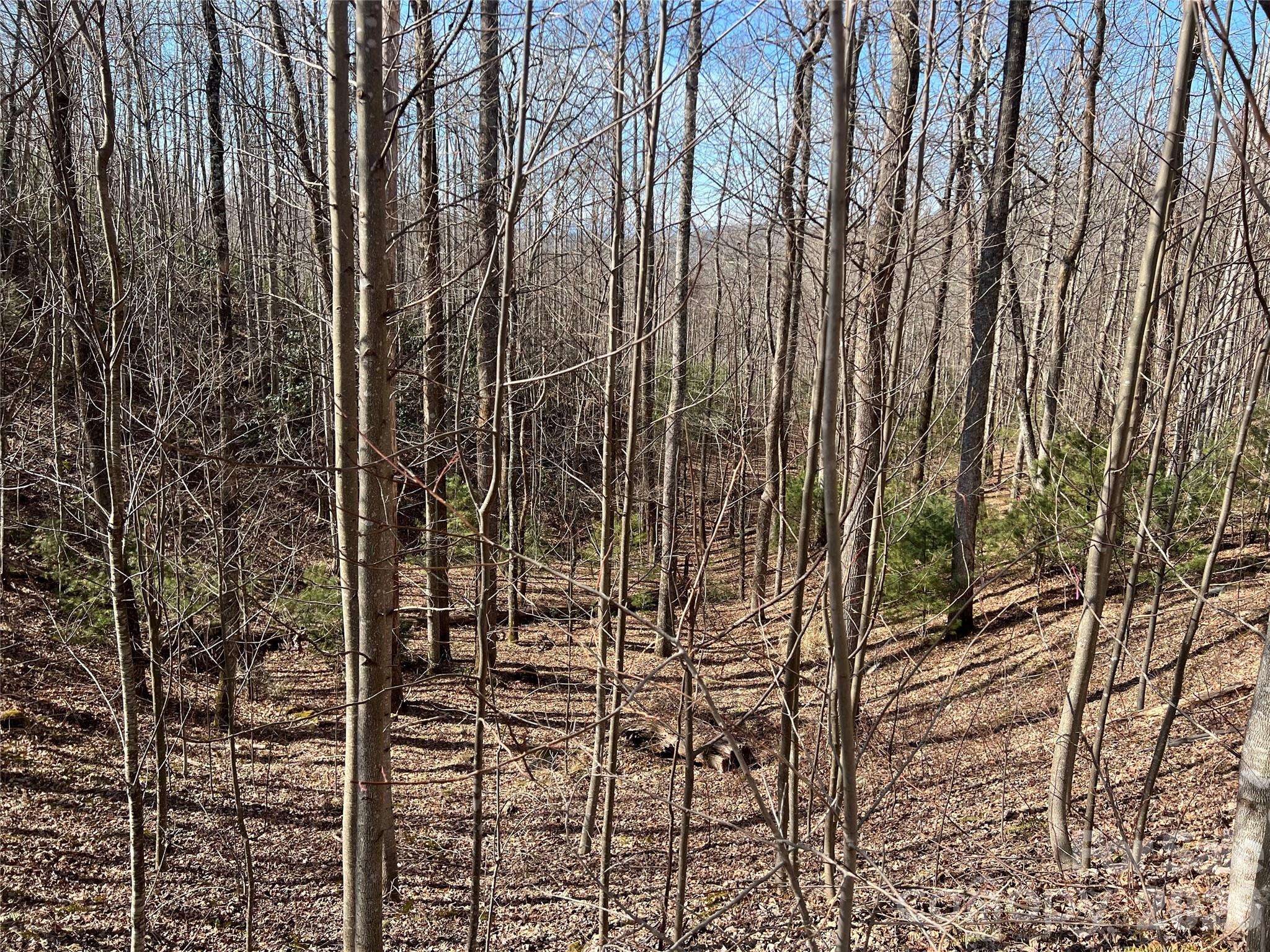 521 Timber Rock DR #521, Lenoir, NC 28604