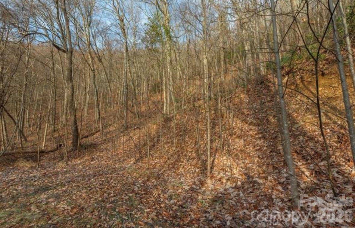 31 Reillys Bluff RD #2, Barnardsville, NC 28709