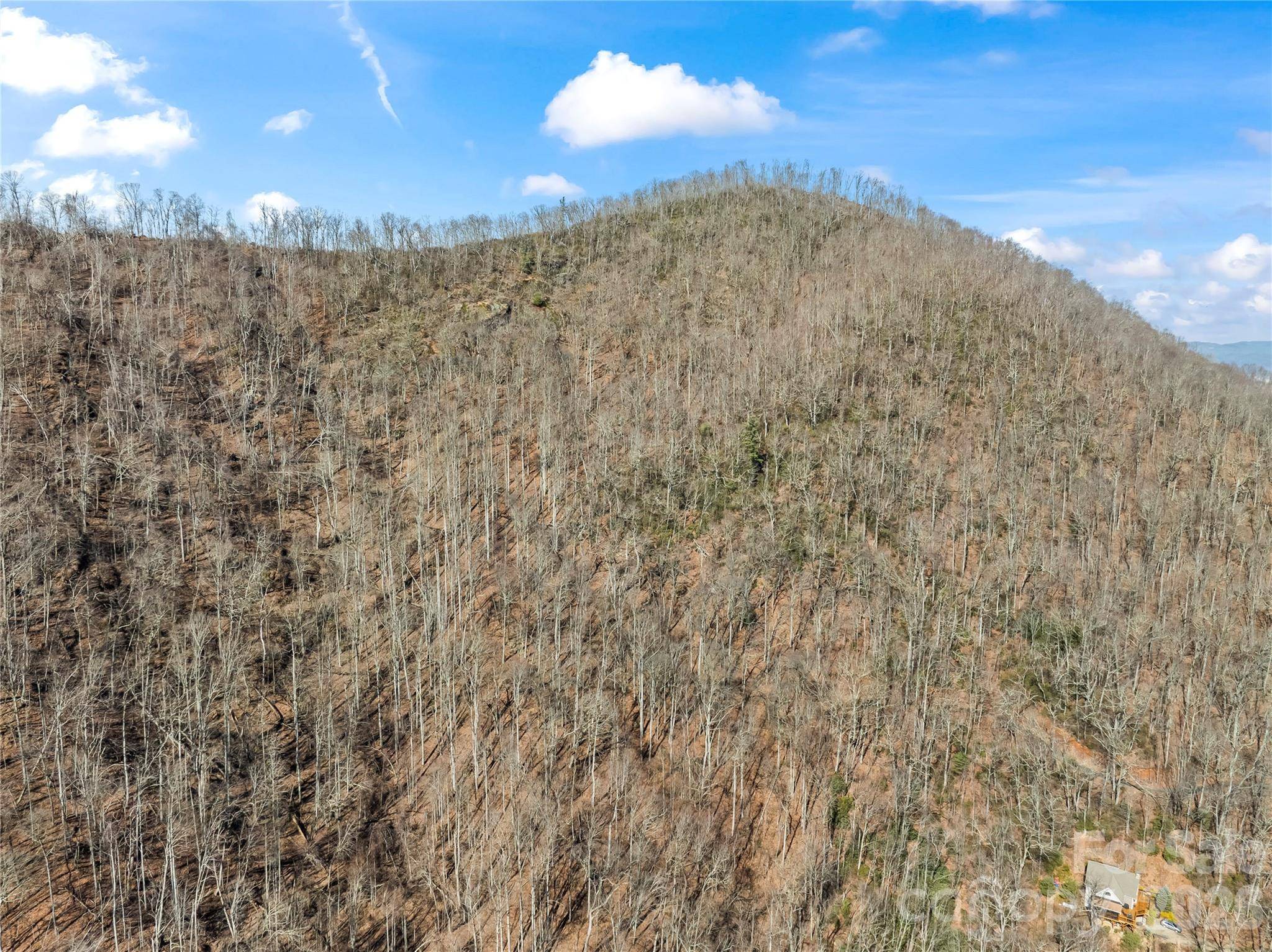 31 Reillys Bluff RD #2, Barnardsville, NC 28709