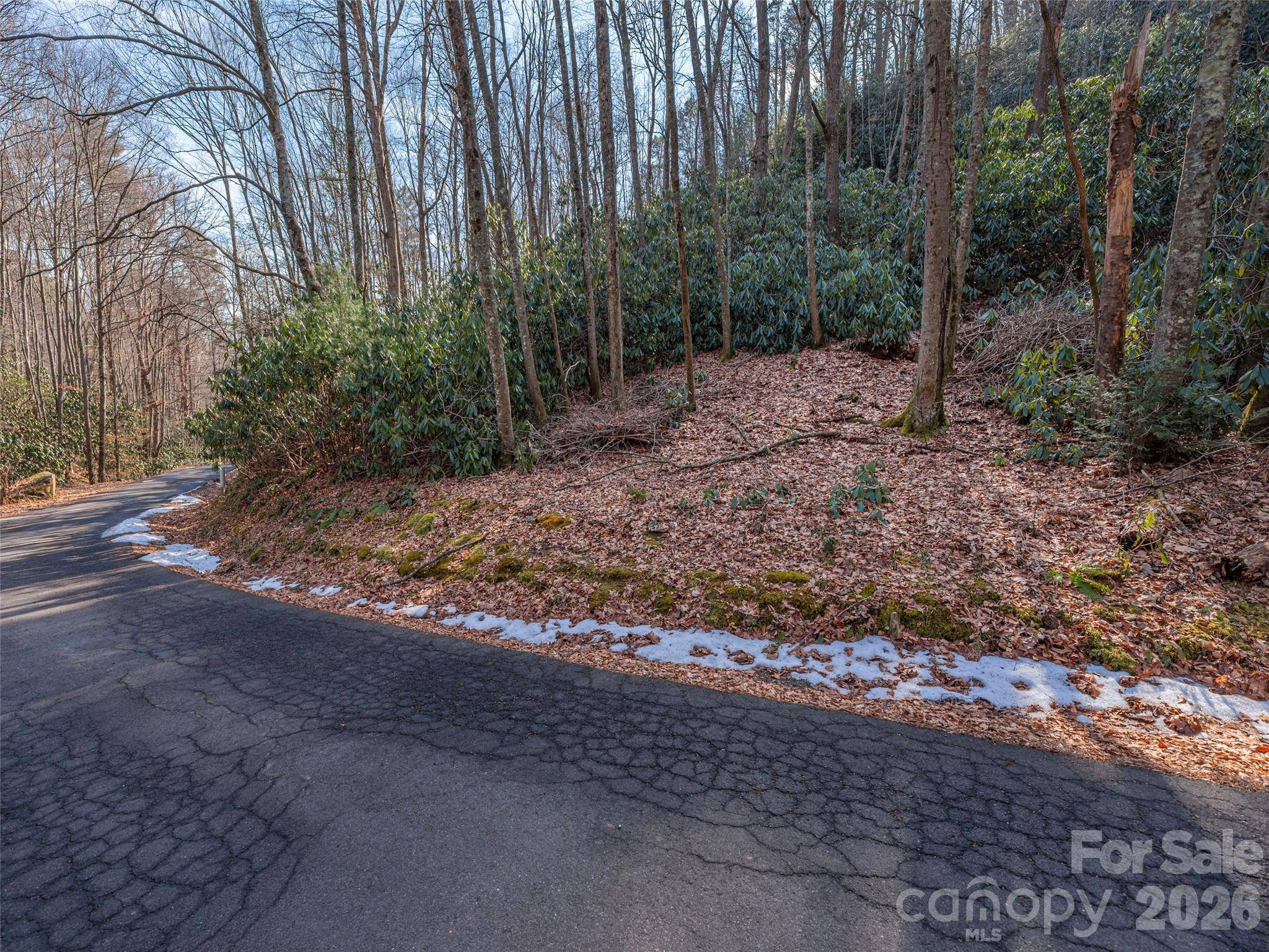 0 Coyote Hollow RD, Waynesville, NC 28785