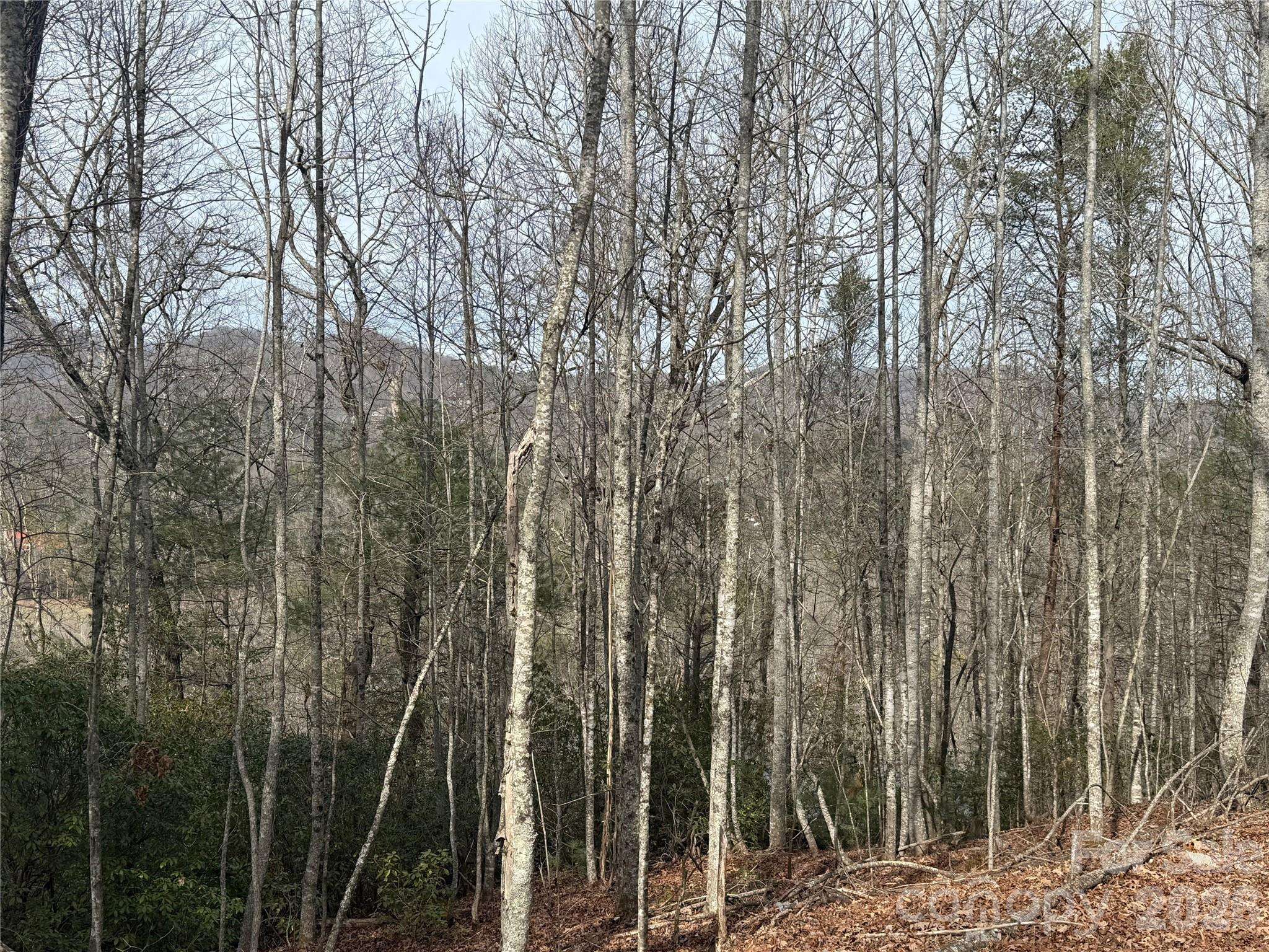 Lot 10, 11 River Run RUN, Franklin, NC 28734